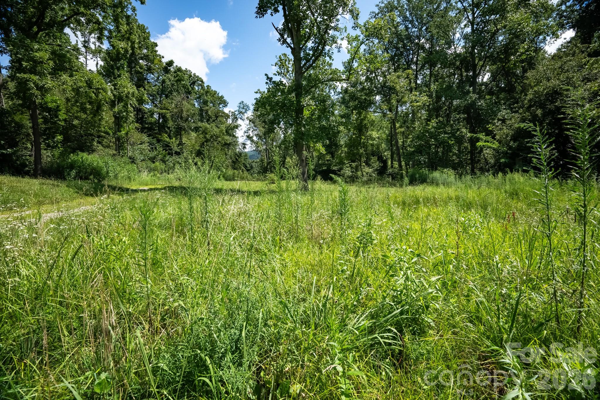 278 Shope Creek Road Property Photo 29