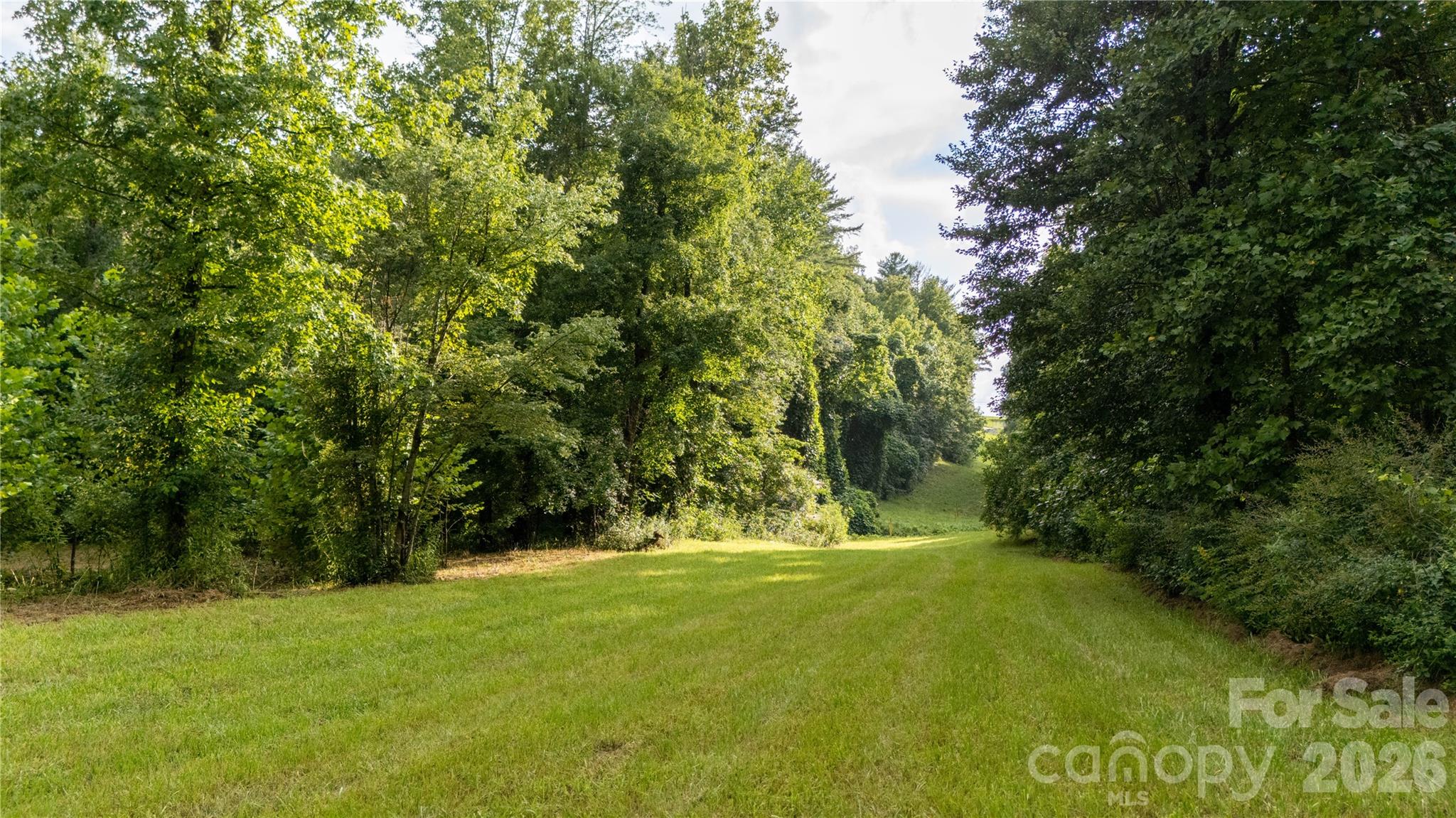 2715 Moose Lodge Street Property Photo 4