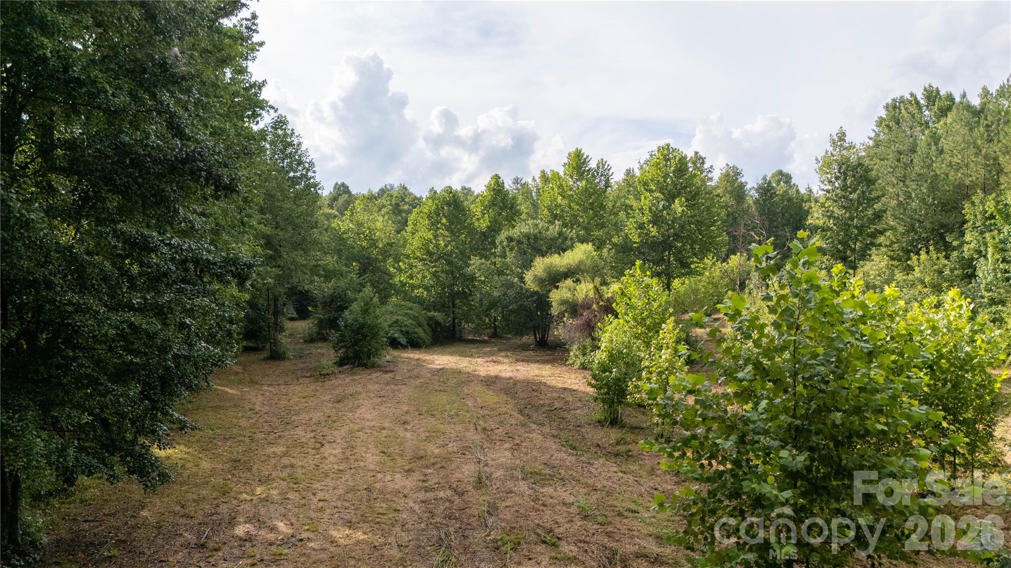 2715 Moose Lodge Street Property Photo 9