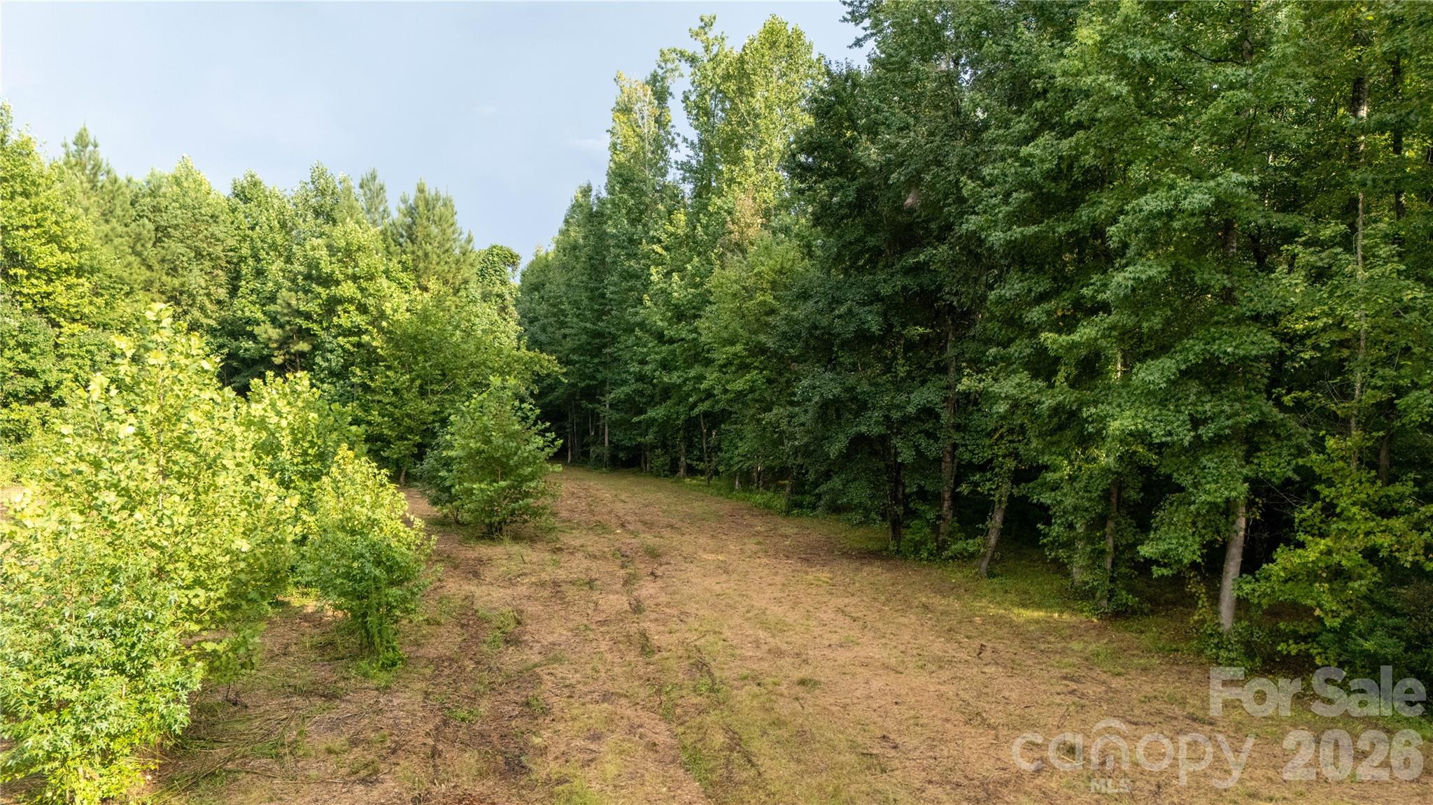 2715 Moose Lodge Street Property Photo 10