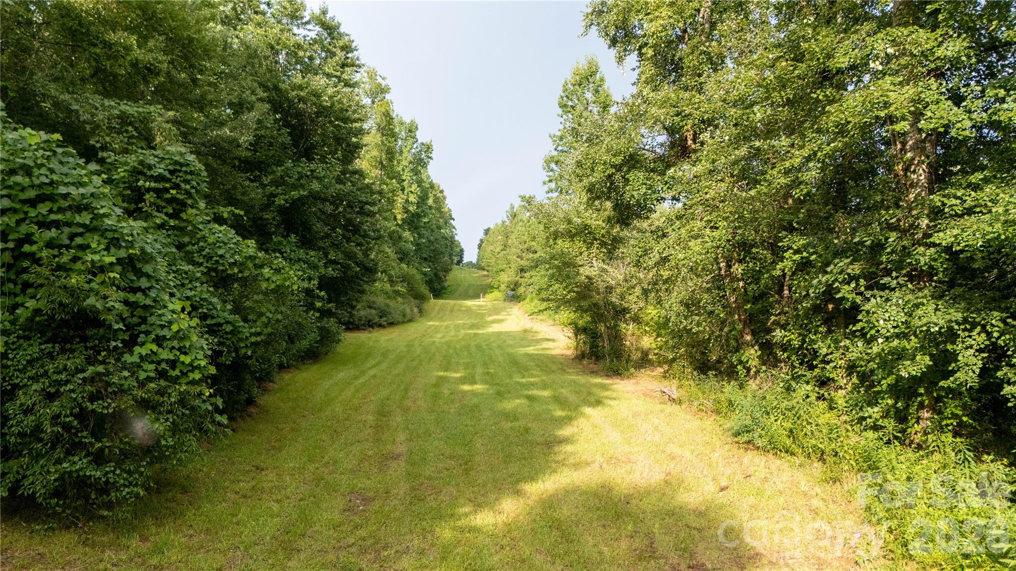 2715 Moose Lodge Street Property Photo 14