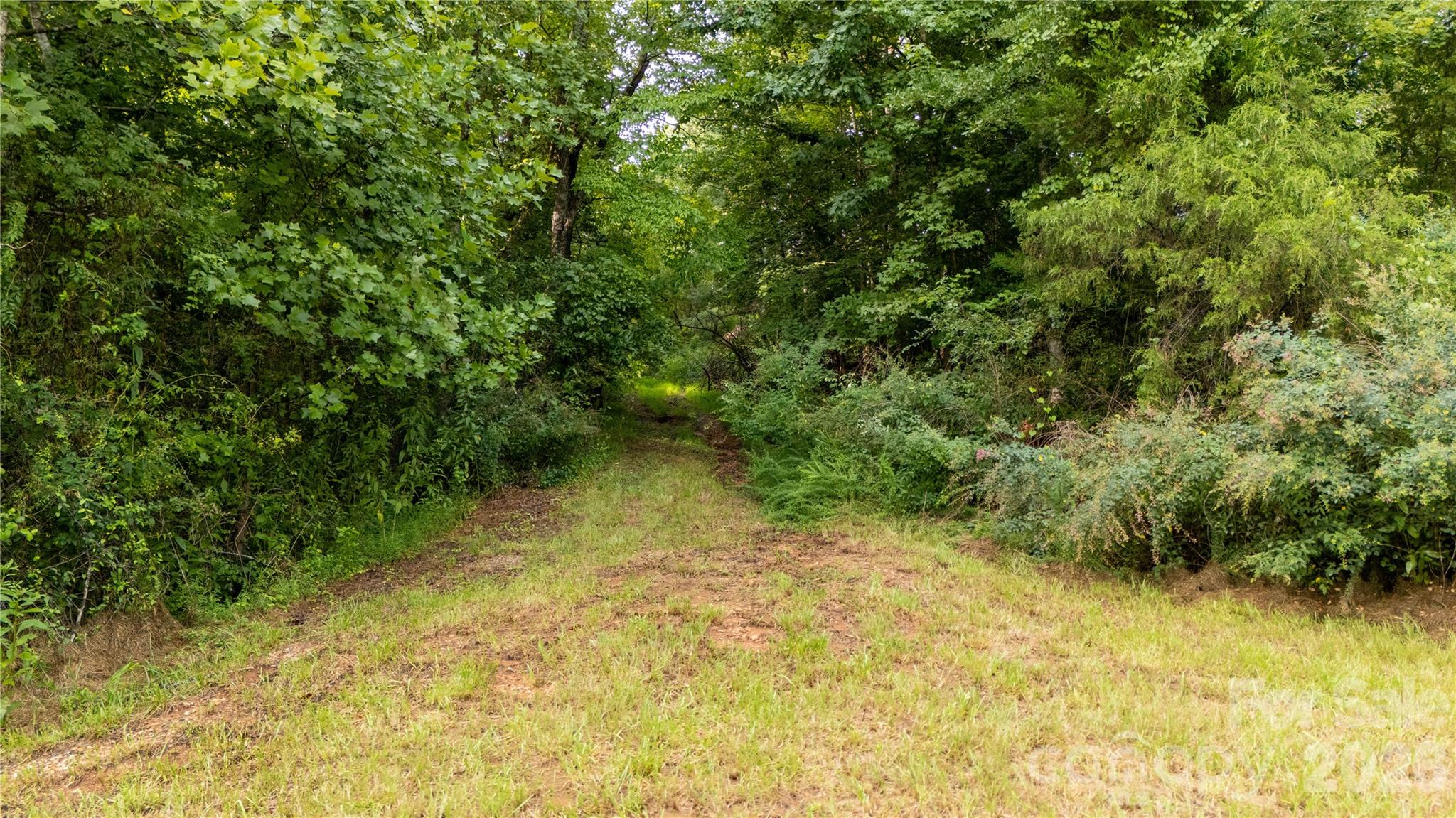 2715 Moose Lodge Street Property Photo 15