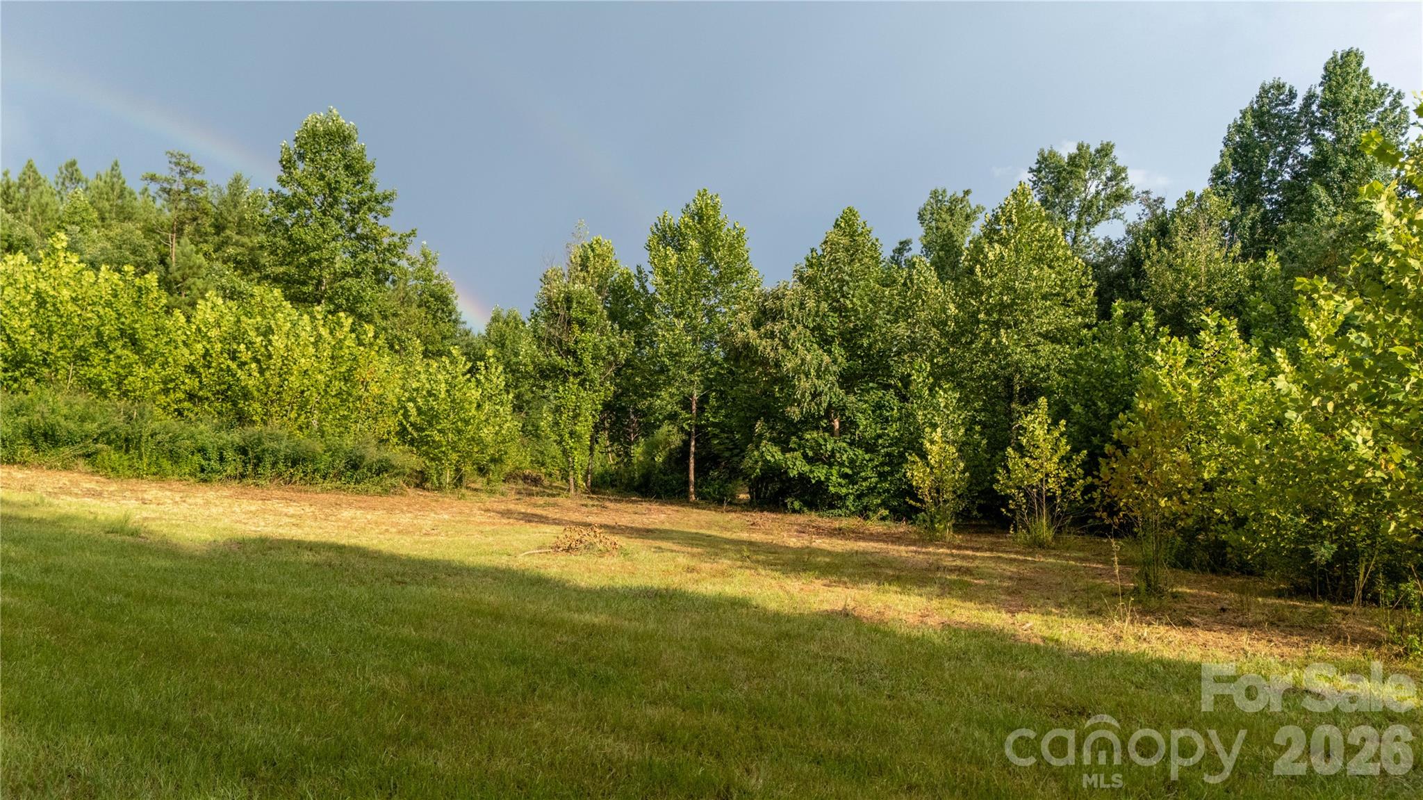 2715 Moose Lodge Street Property Photo 16