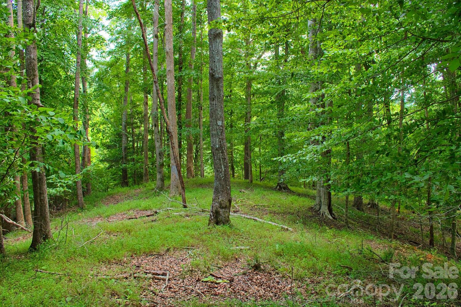 0 Cross Creek Drive 136+136a Property Photo 1
