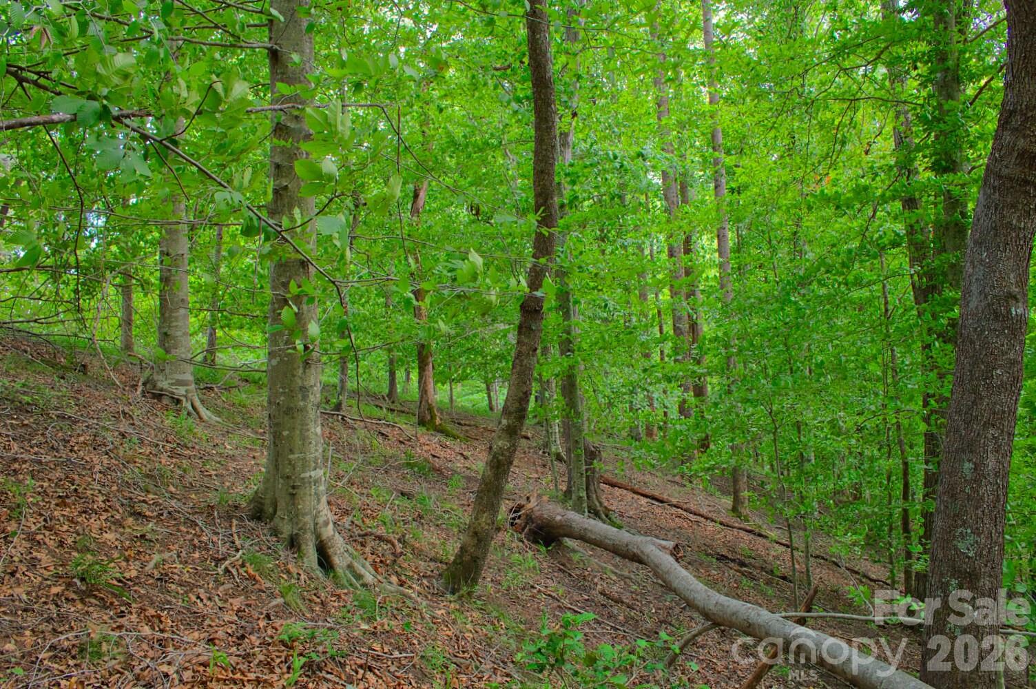 0 Cross Creek Drive 136+136a Property Photo 2