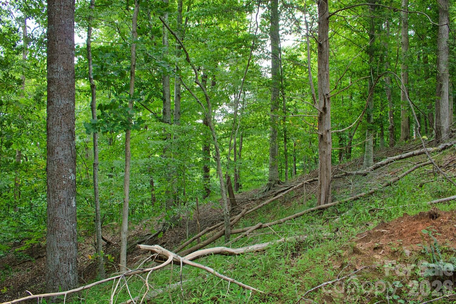 0 Cross Creek Drive 136+136a Property Photo 5
