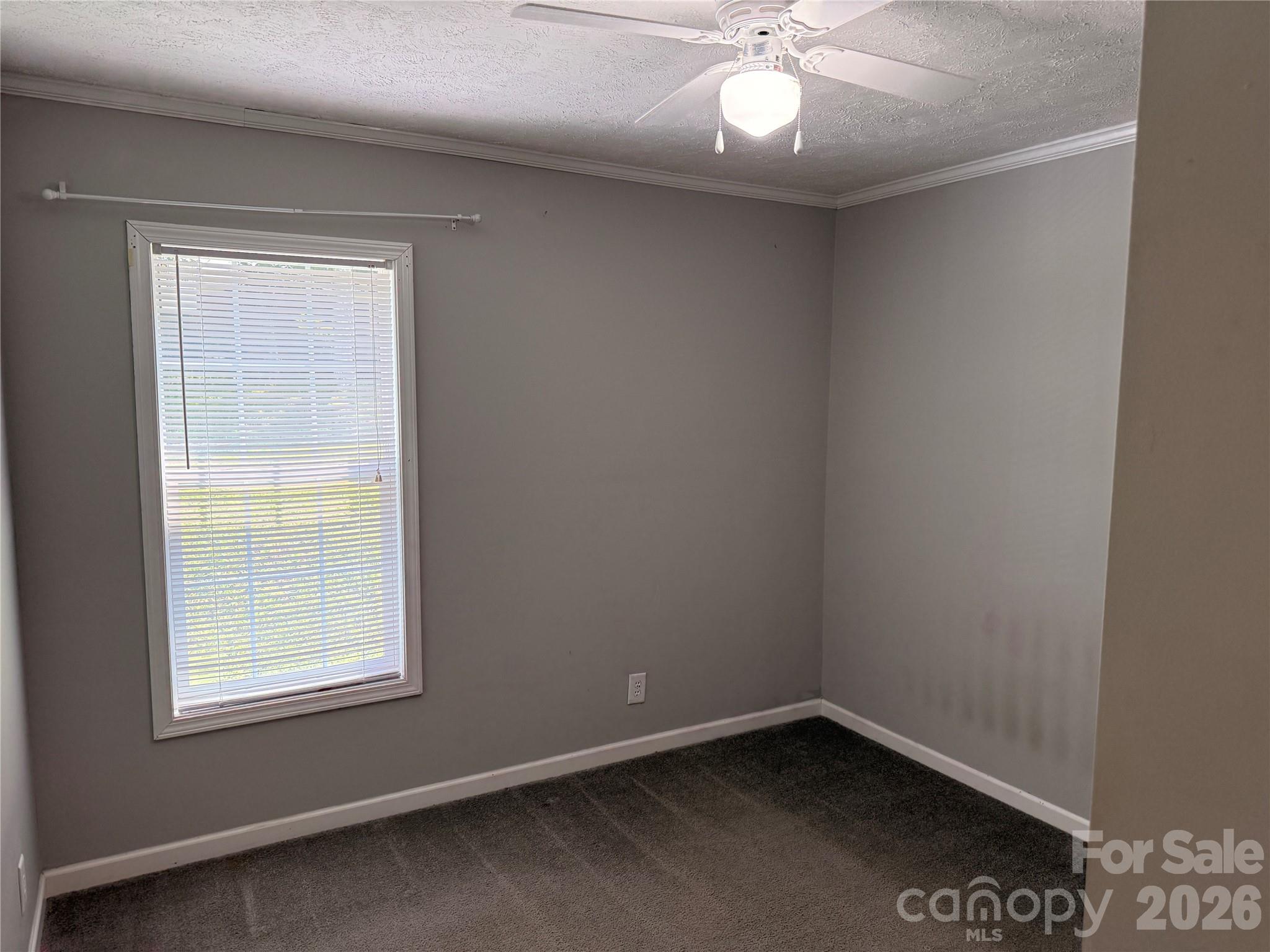 166 Albert Drive Property Photo 12