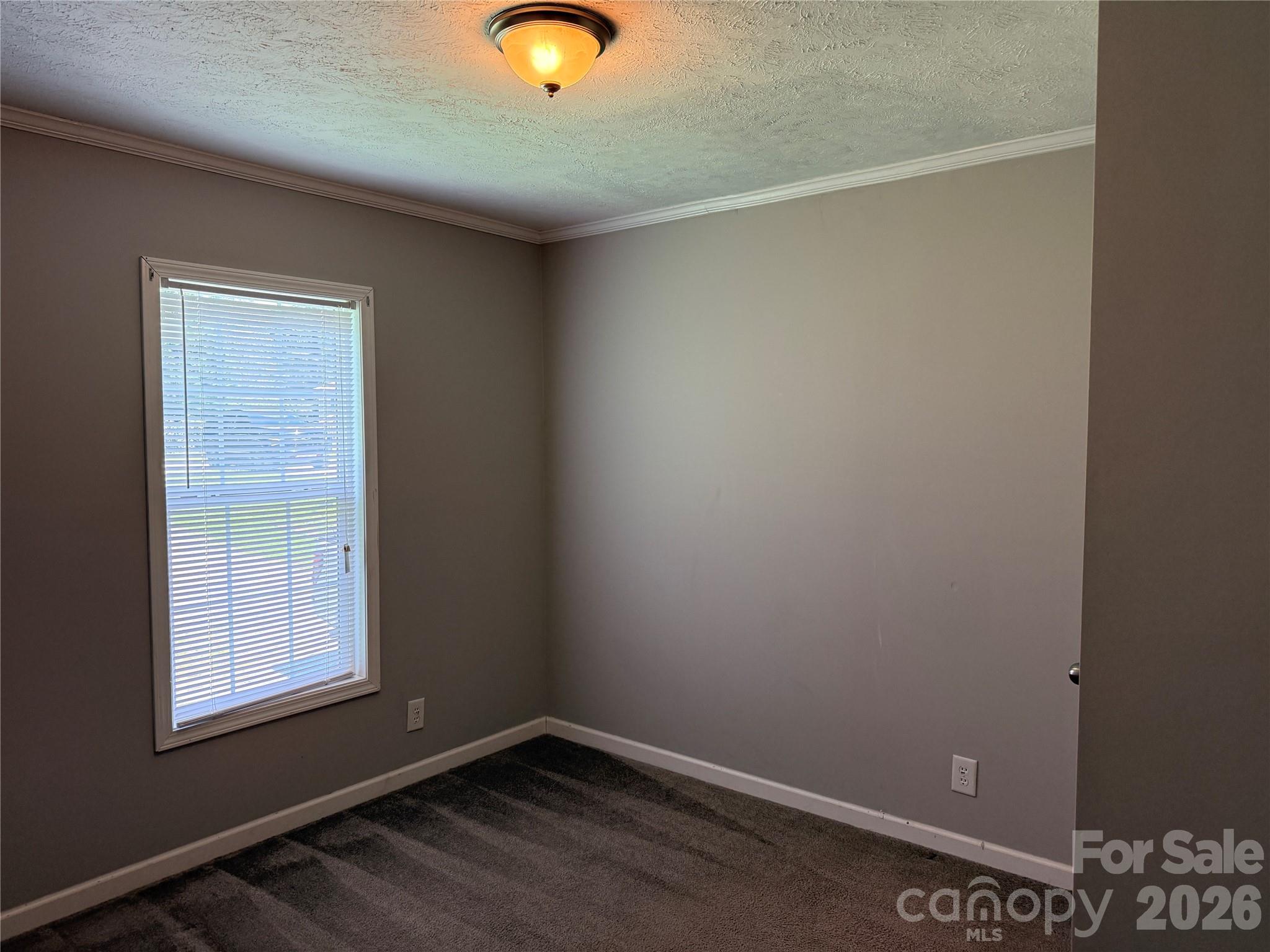 166 Albert Drive Property Photo 13