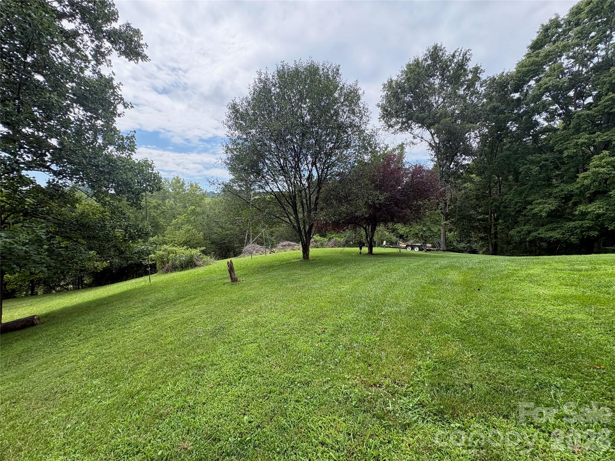 11 Thornberry Drive Property Photo 38