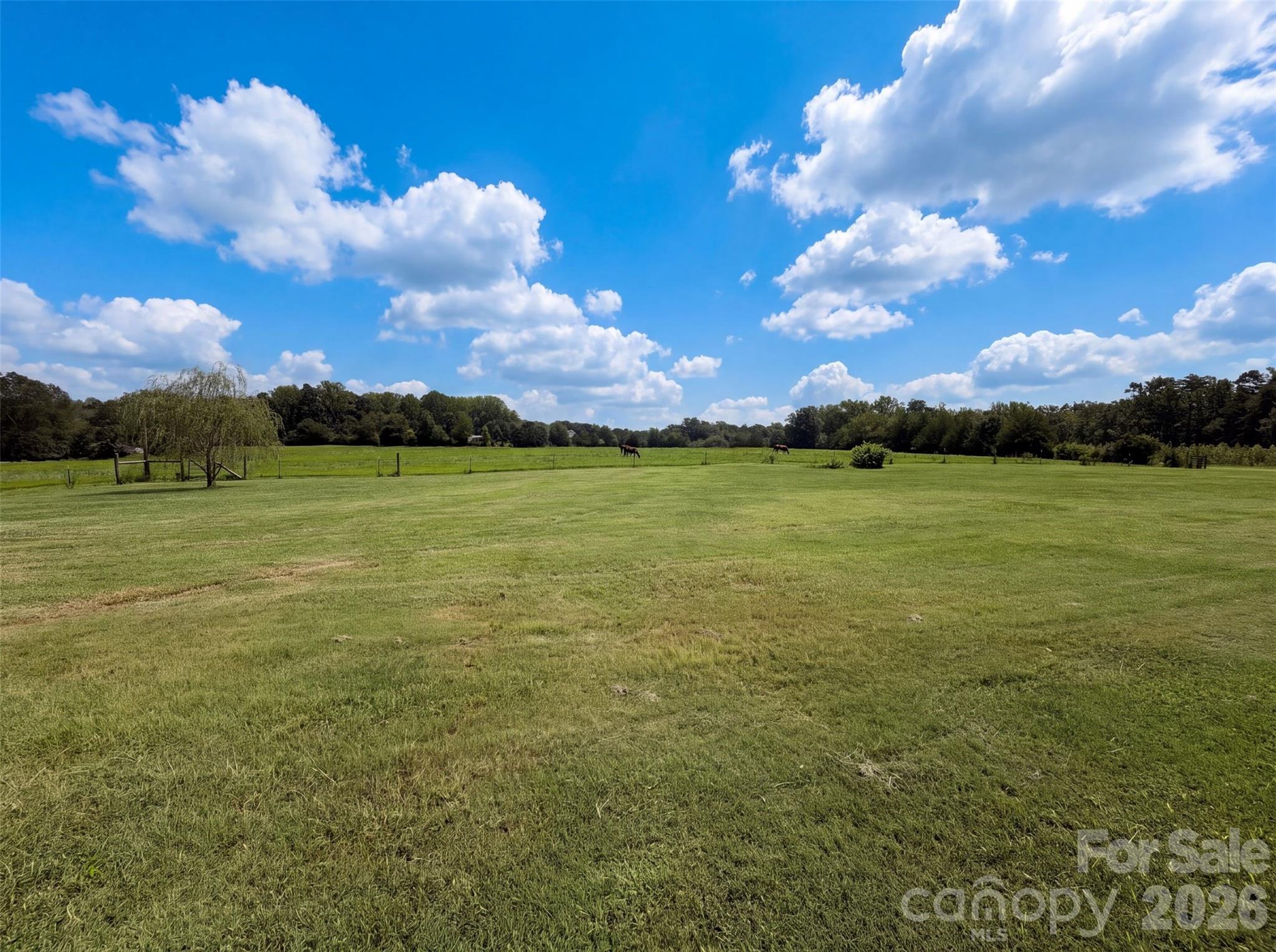 749 Williamsburg Estate Road Property Photo 17