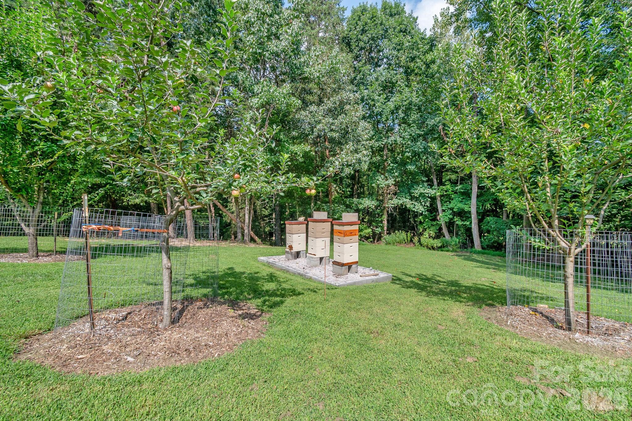 17410 Green Hill Road Property Photo 6