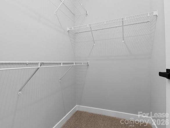 3110 Mccauley Meadows Drive Property Photo 16