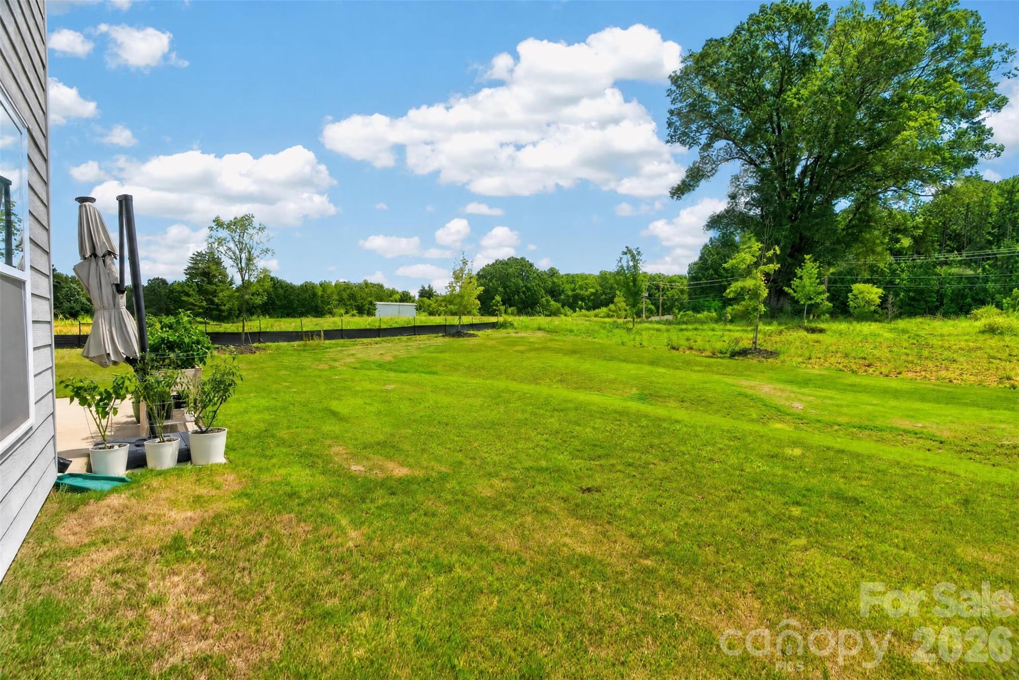 14103 Belmont Greene Drive Property Photo 35