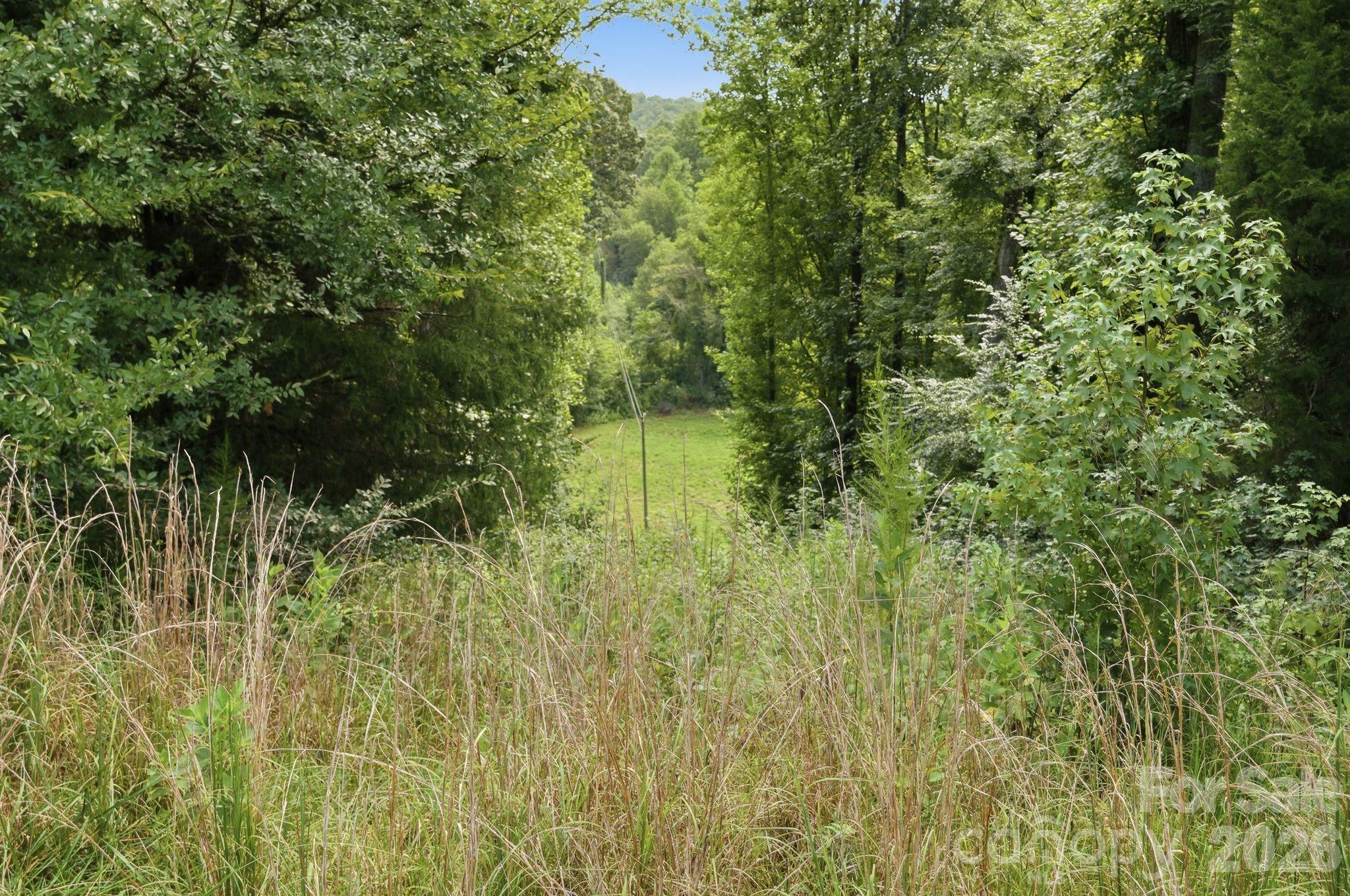 4650 Forest View Road Property Photo 6