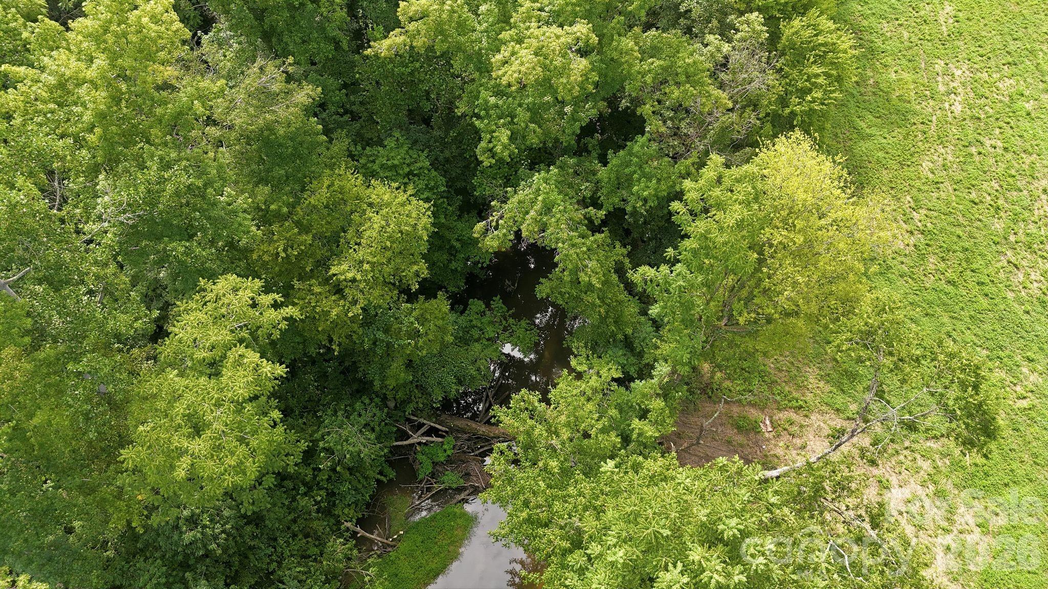 4650 Forest View Road Property Photo 8