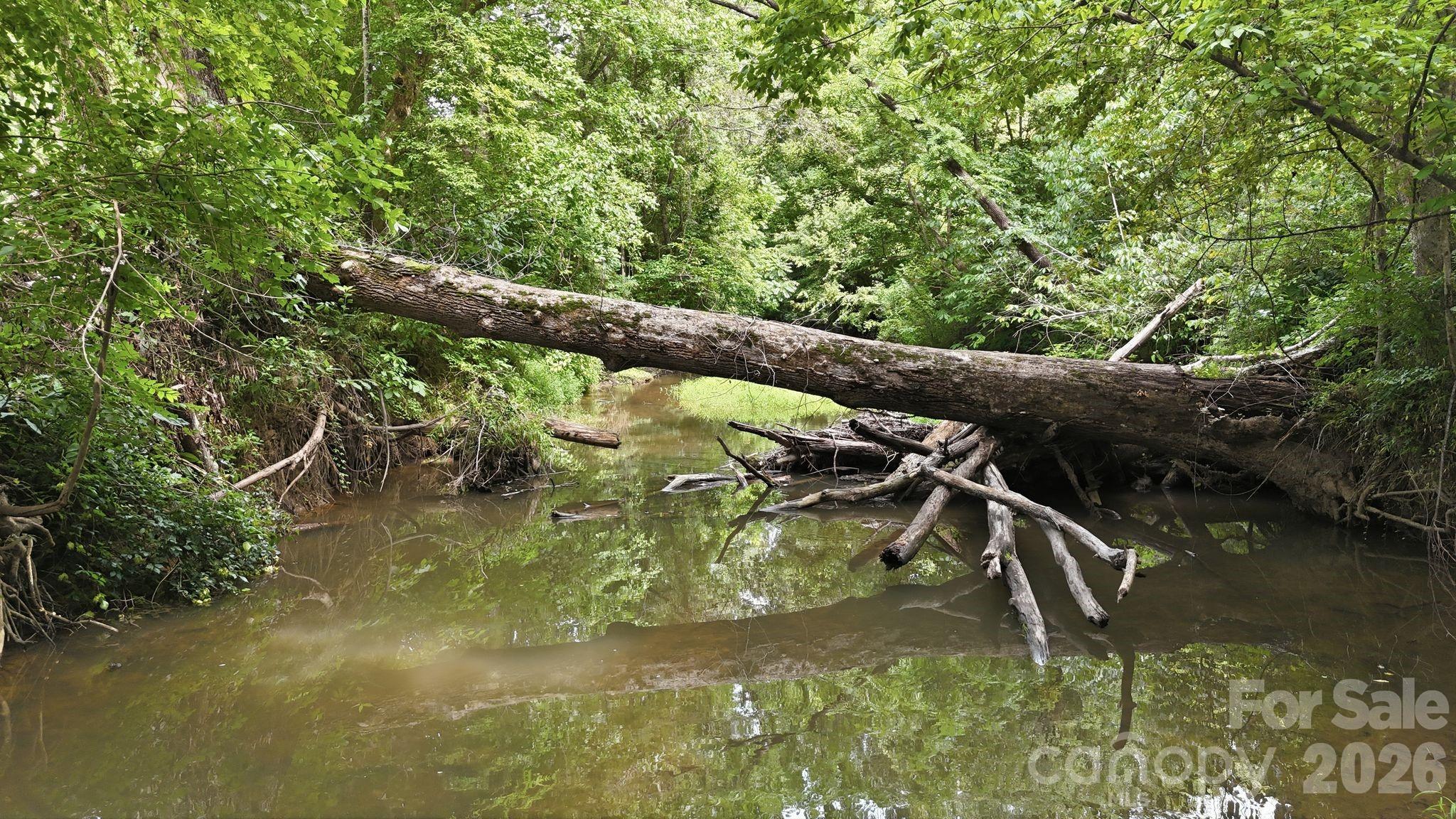 4650 Forest View Road Property Photo 10