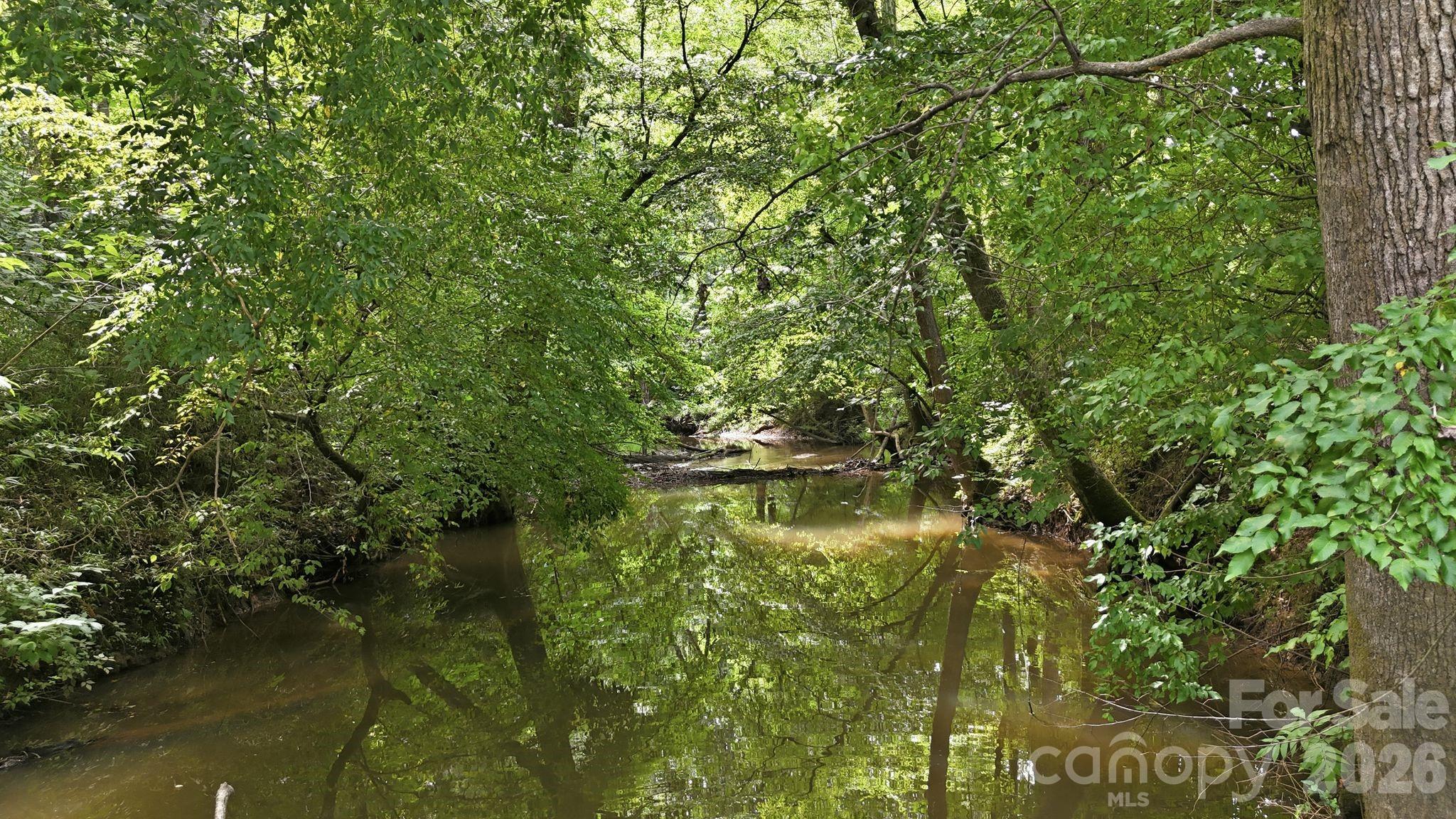 4650 Forest View Road Property Photo 11