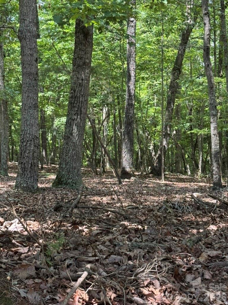 0 Cottonstone Lane Property Photo 2