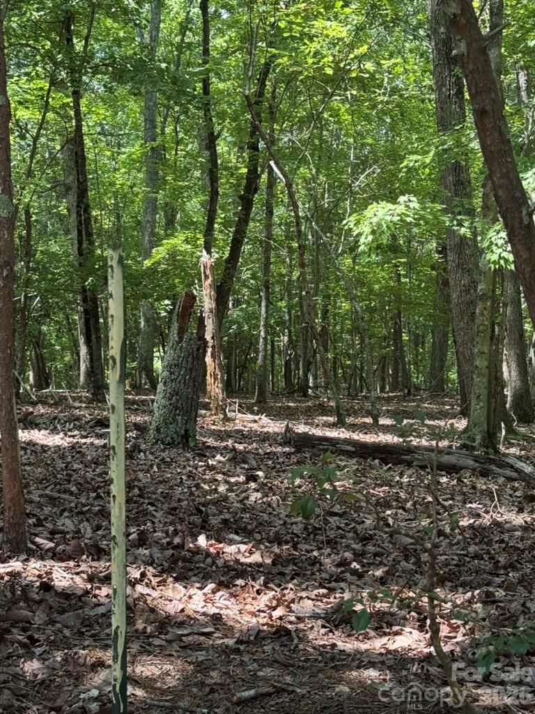 0 Cottonstone Lane Property Photo 3