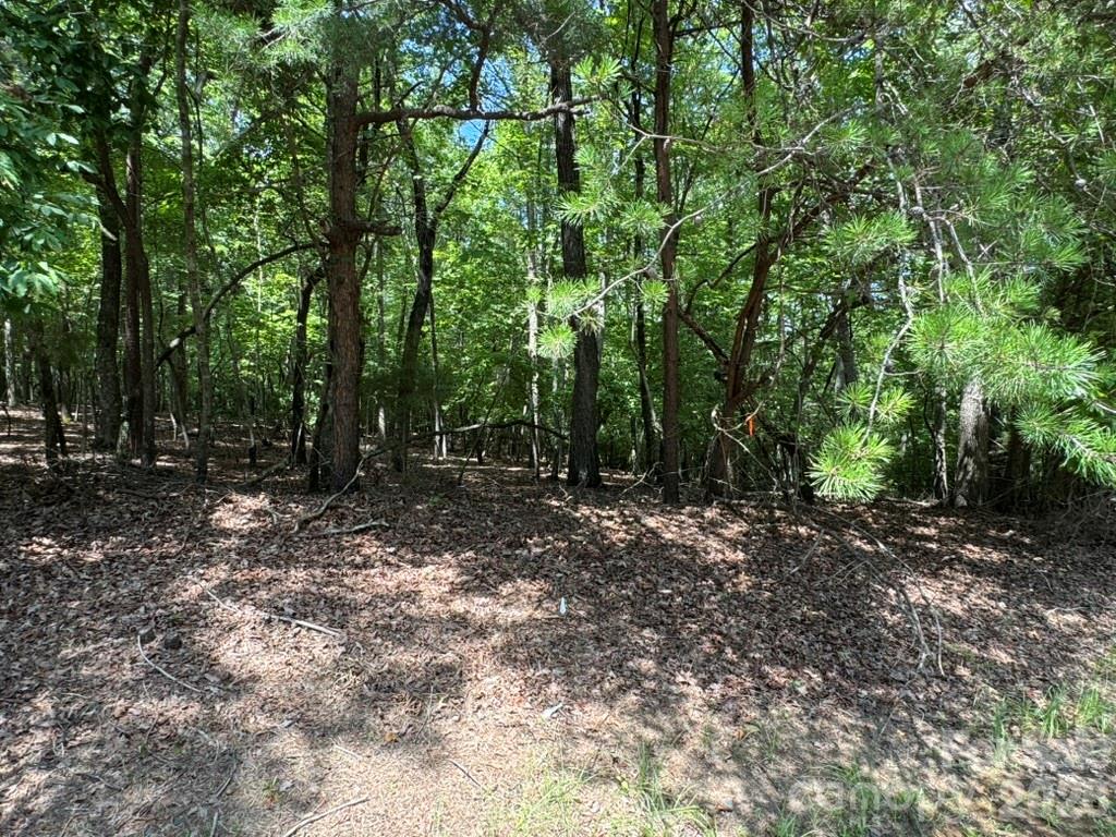 0 Cottonstone Lane Property Photo 4