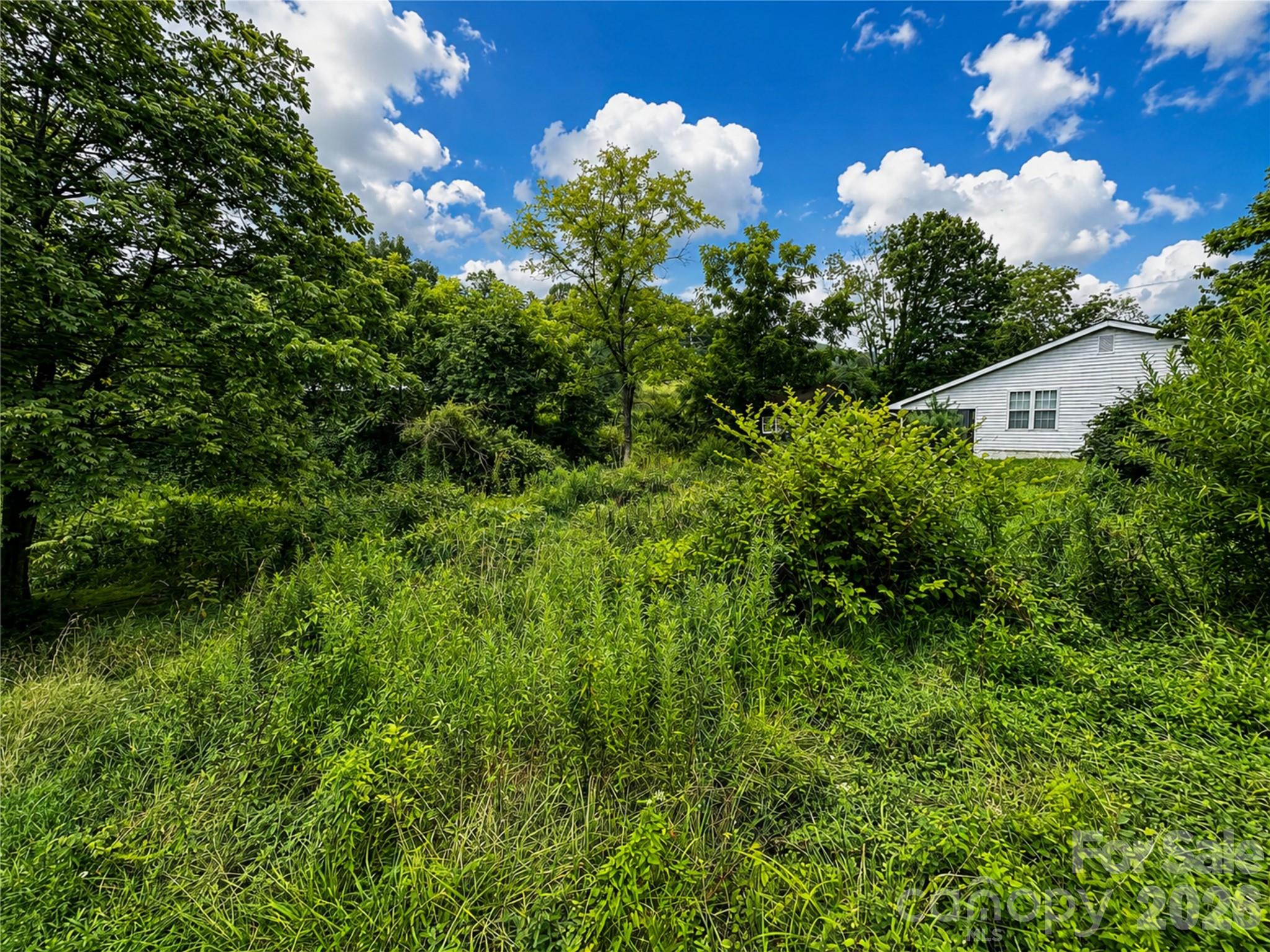 440 Old Us 19e Highway Property Photo 19