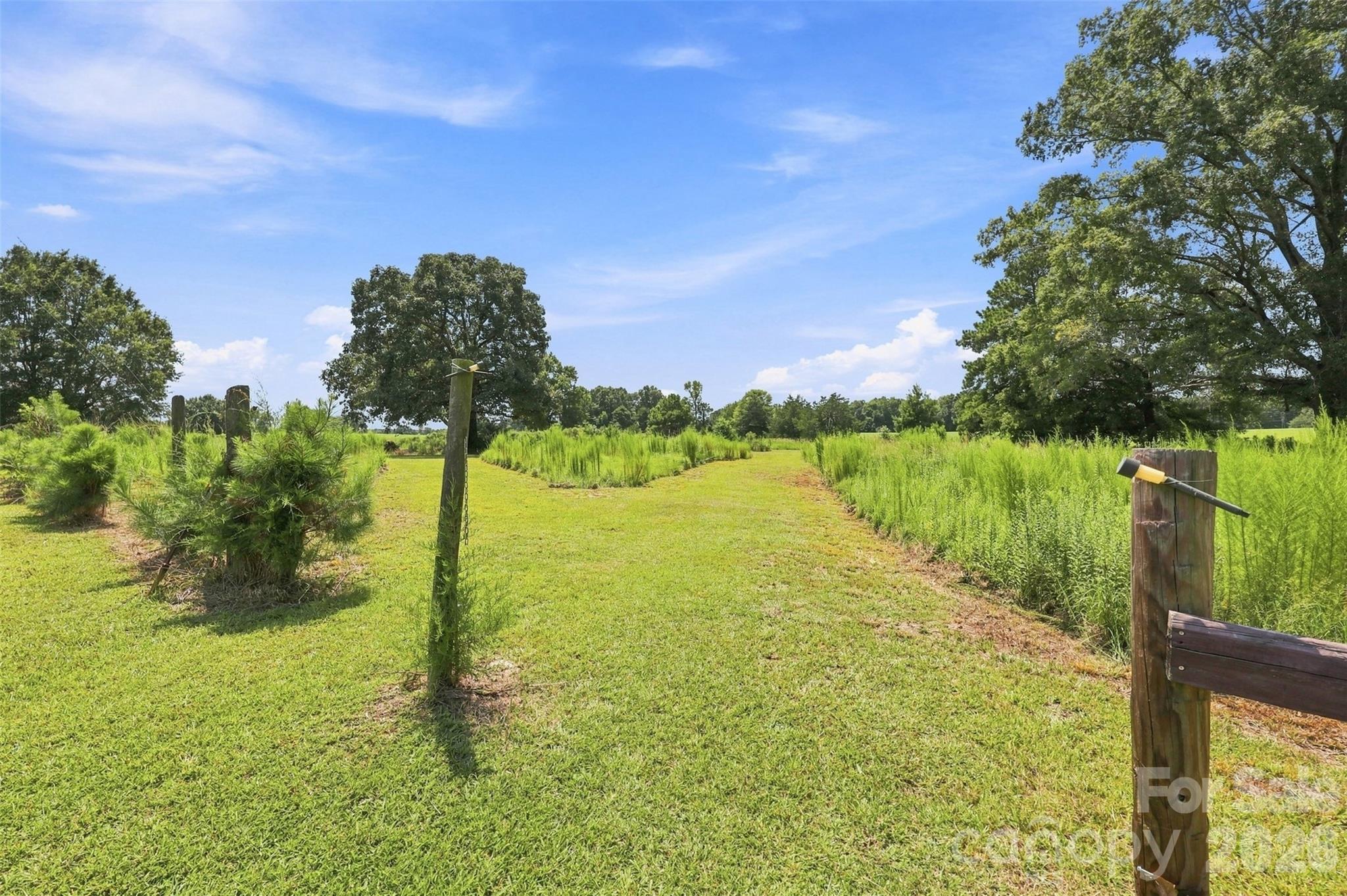 650 Monticello Road Property Photo 27
