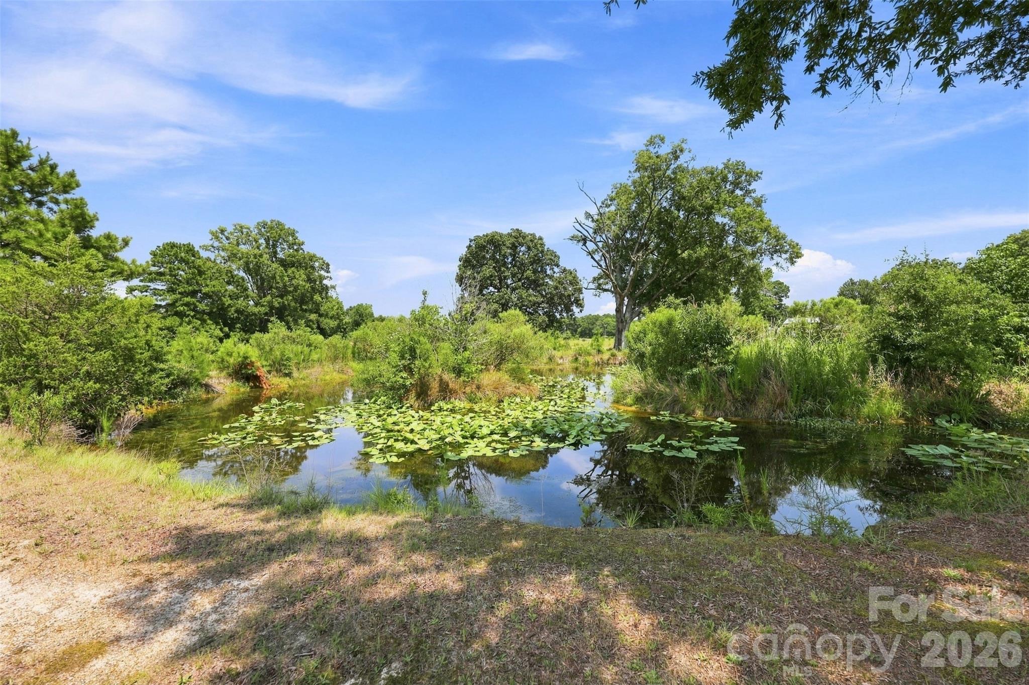 650 Monticello Road Property Photo 30