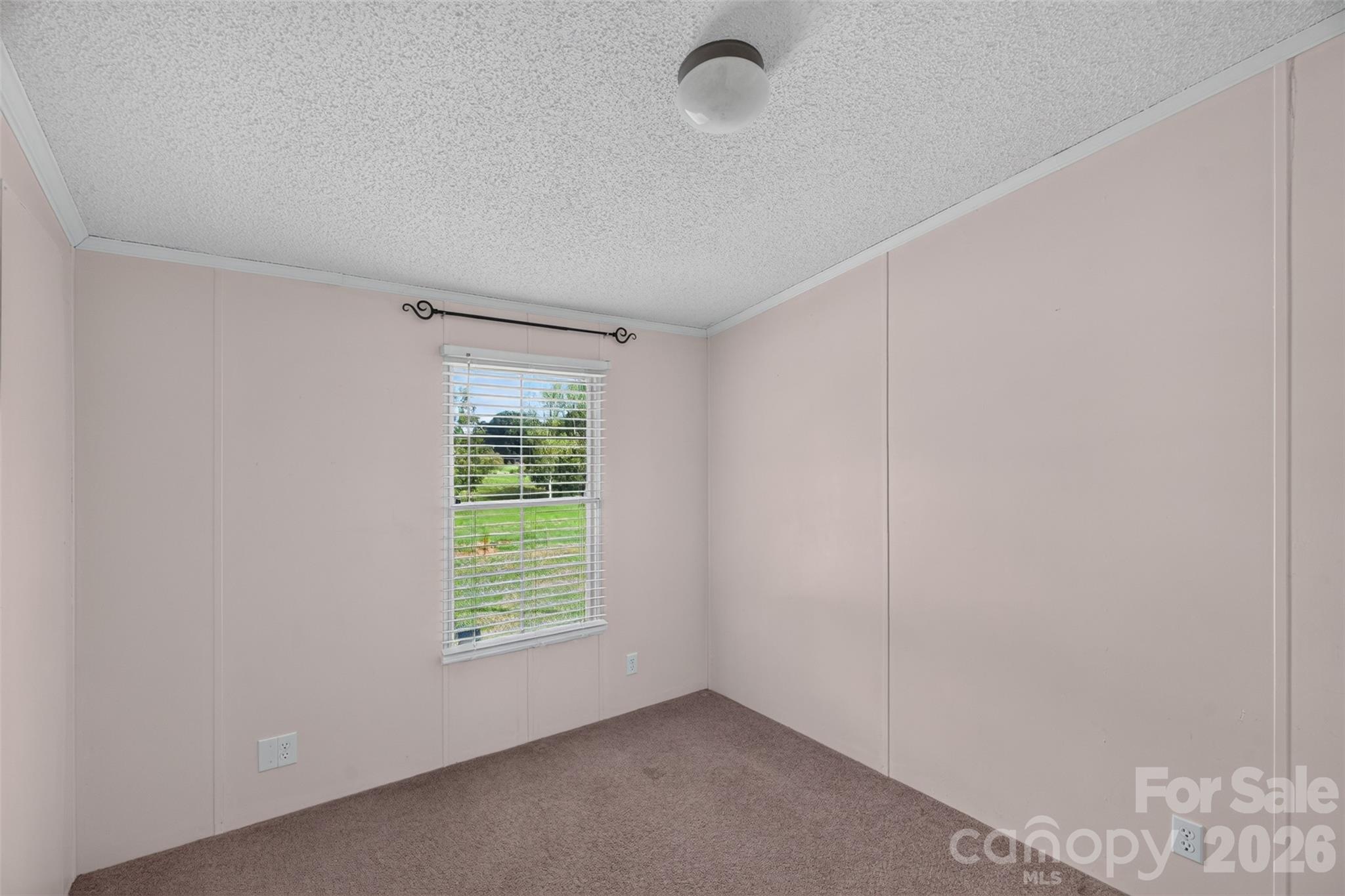 3406 Olive Branch Road Property Photo 19