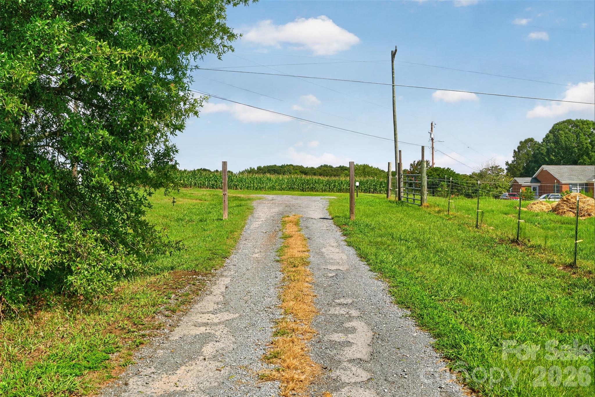 3406 Olive Branch Road Property Photo 46