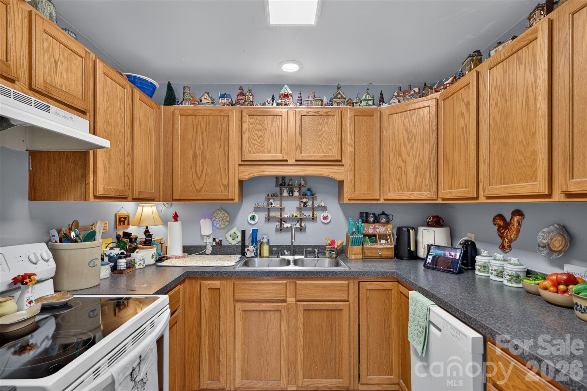 1007 Field Swallow Way Property Photo 4