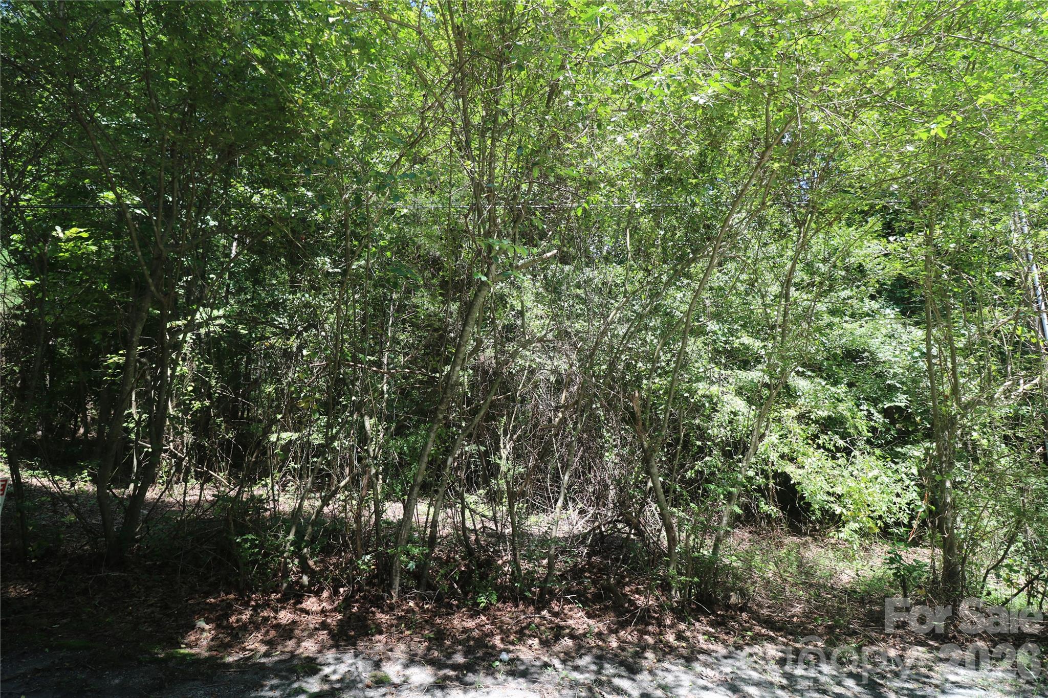0 Shady Nook Circle Property Photo 1