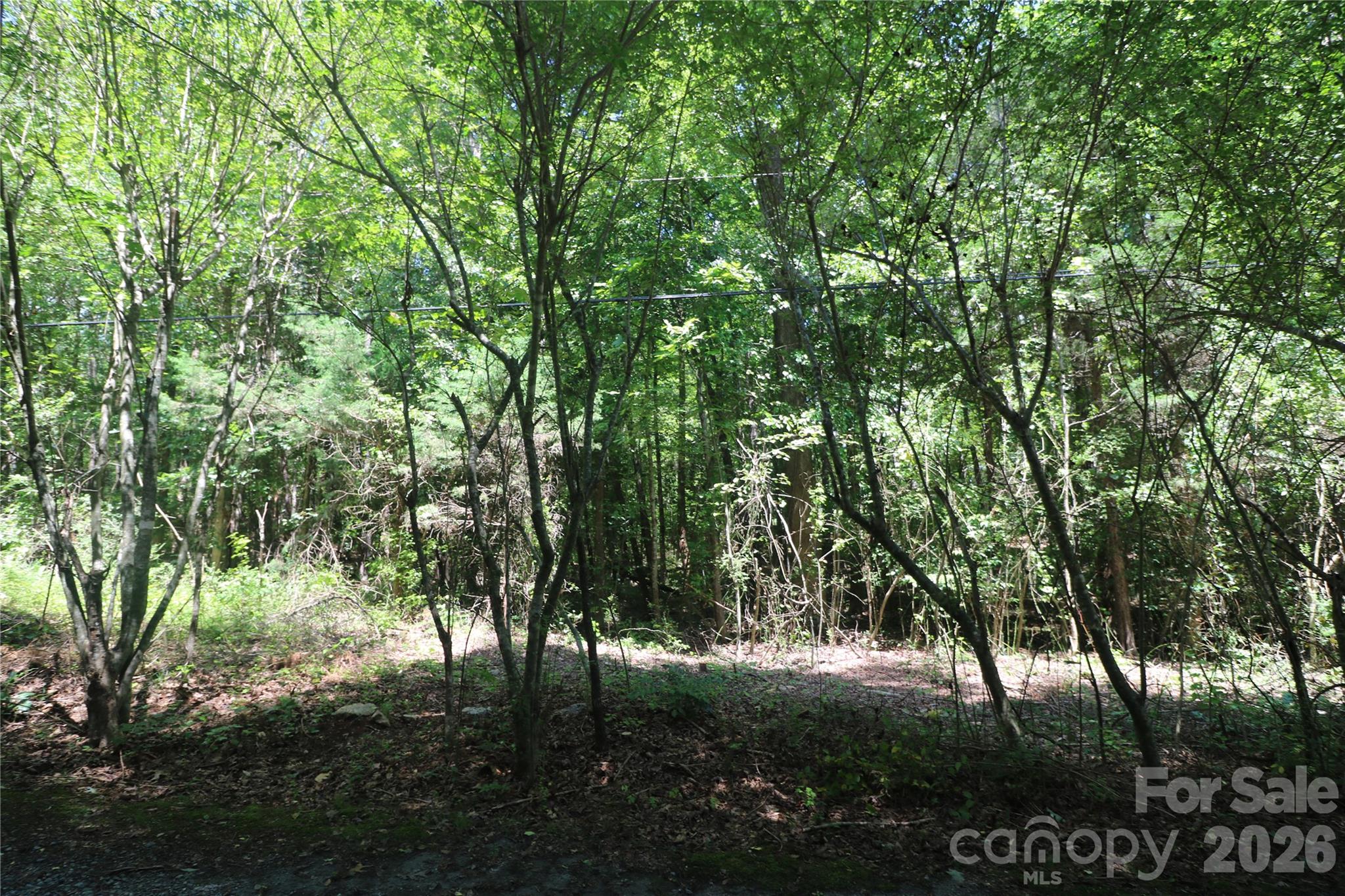 0 Shady Nook Circle Property Photo 3