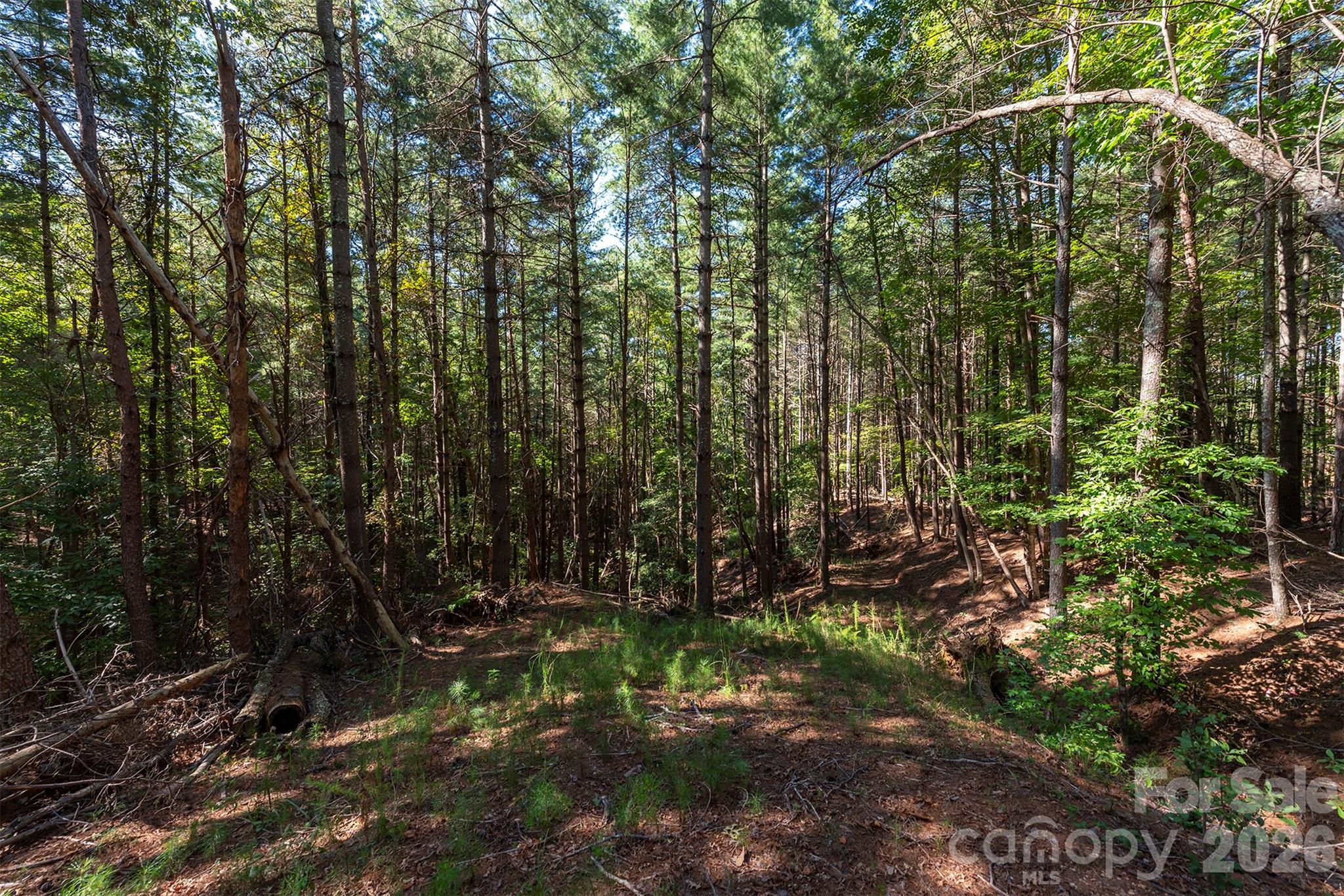 Lot #86 Crest View Drive Property Photo 1