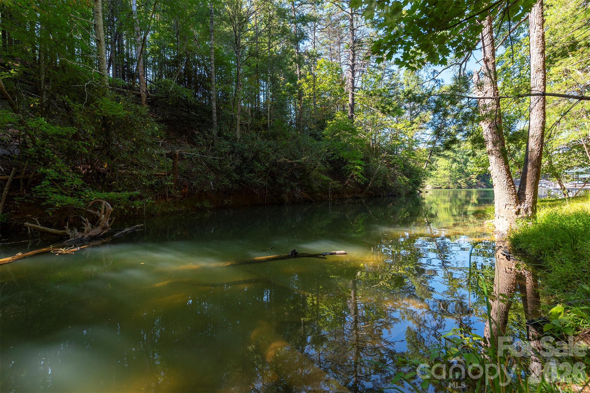 Lot #86 Crest View Drive Property Photo 4