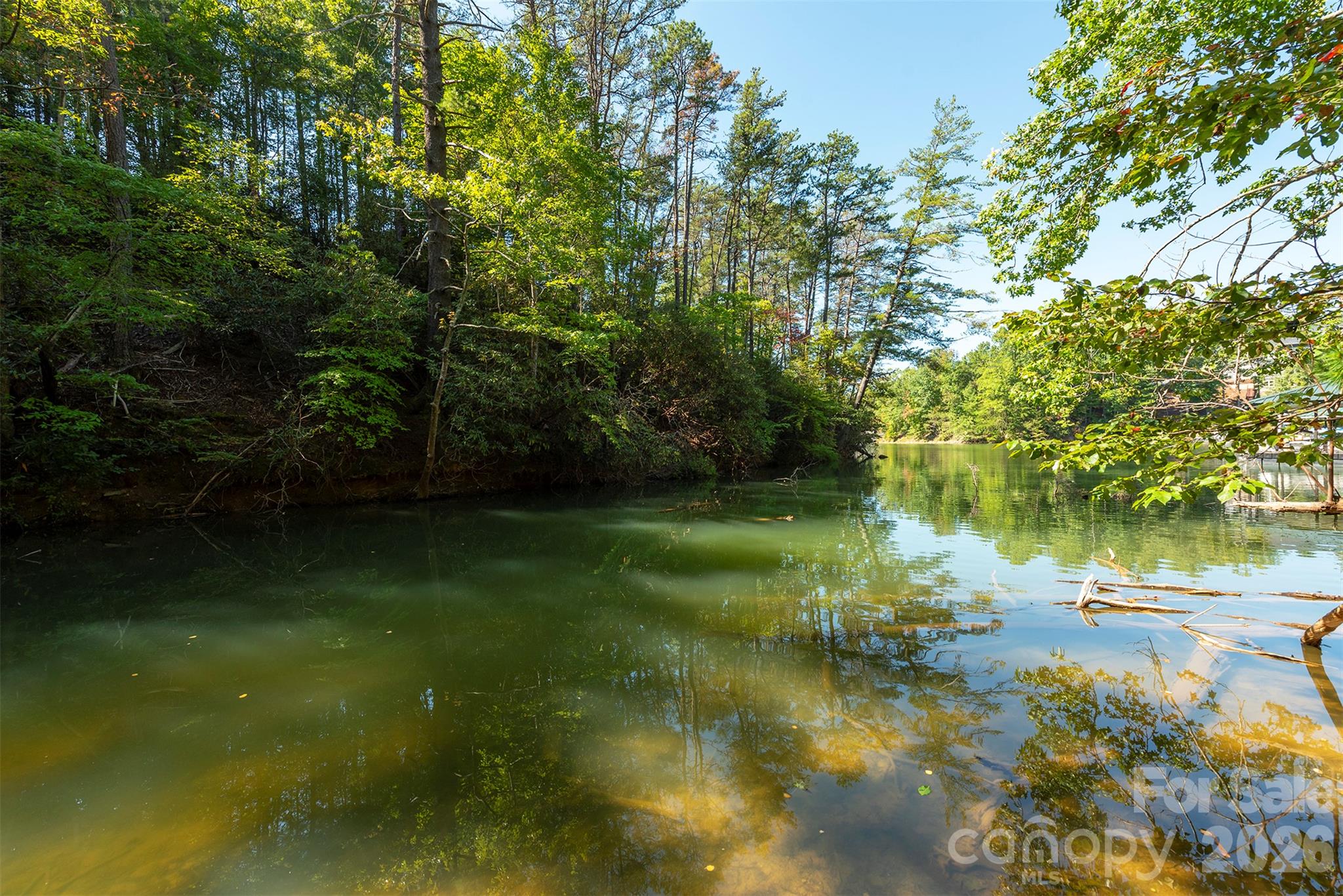 Lot #86 Crest View Drive Property Photo 5