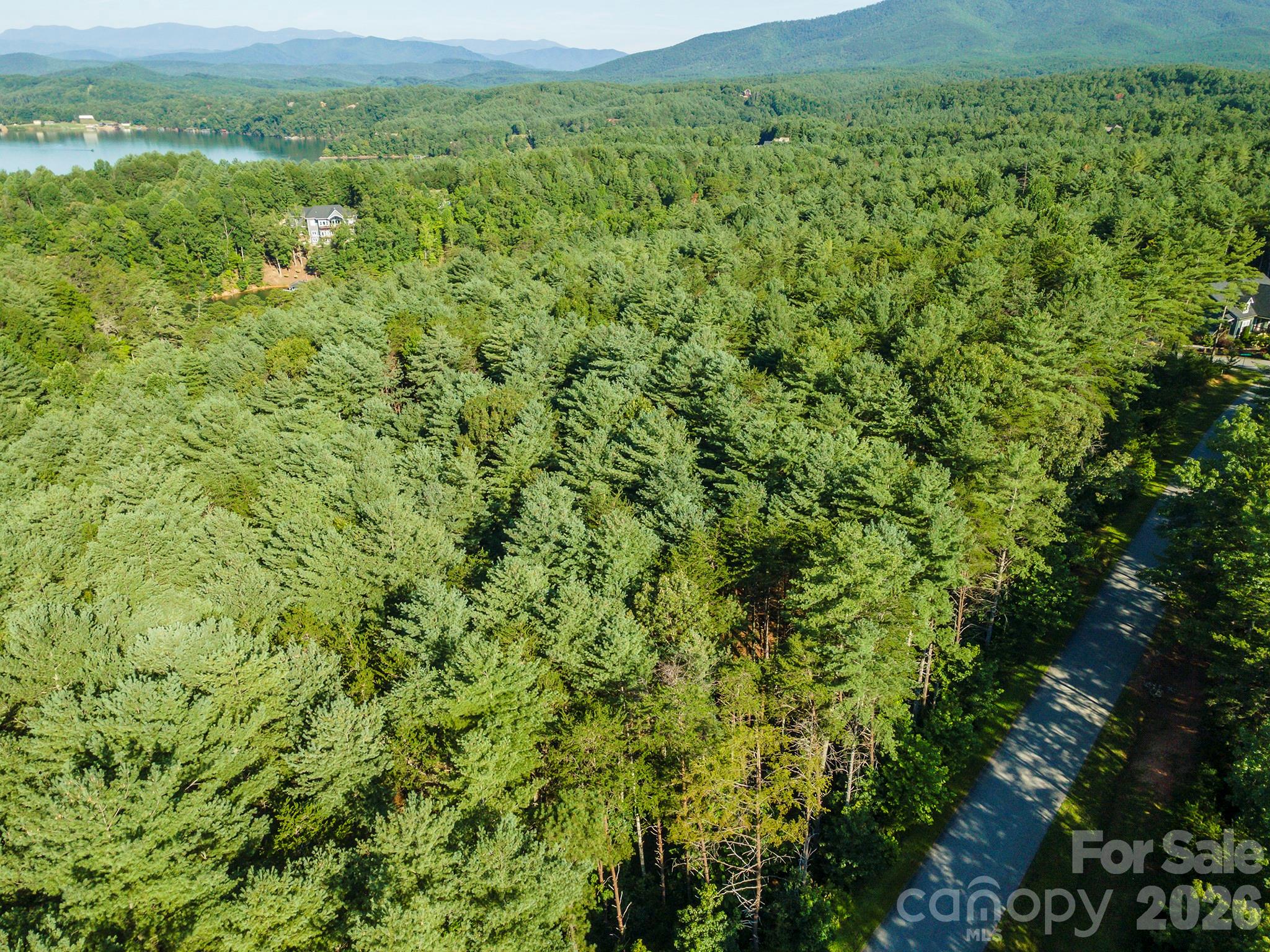 Lot #86 Crest View Drive Property Photo 10