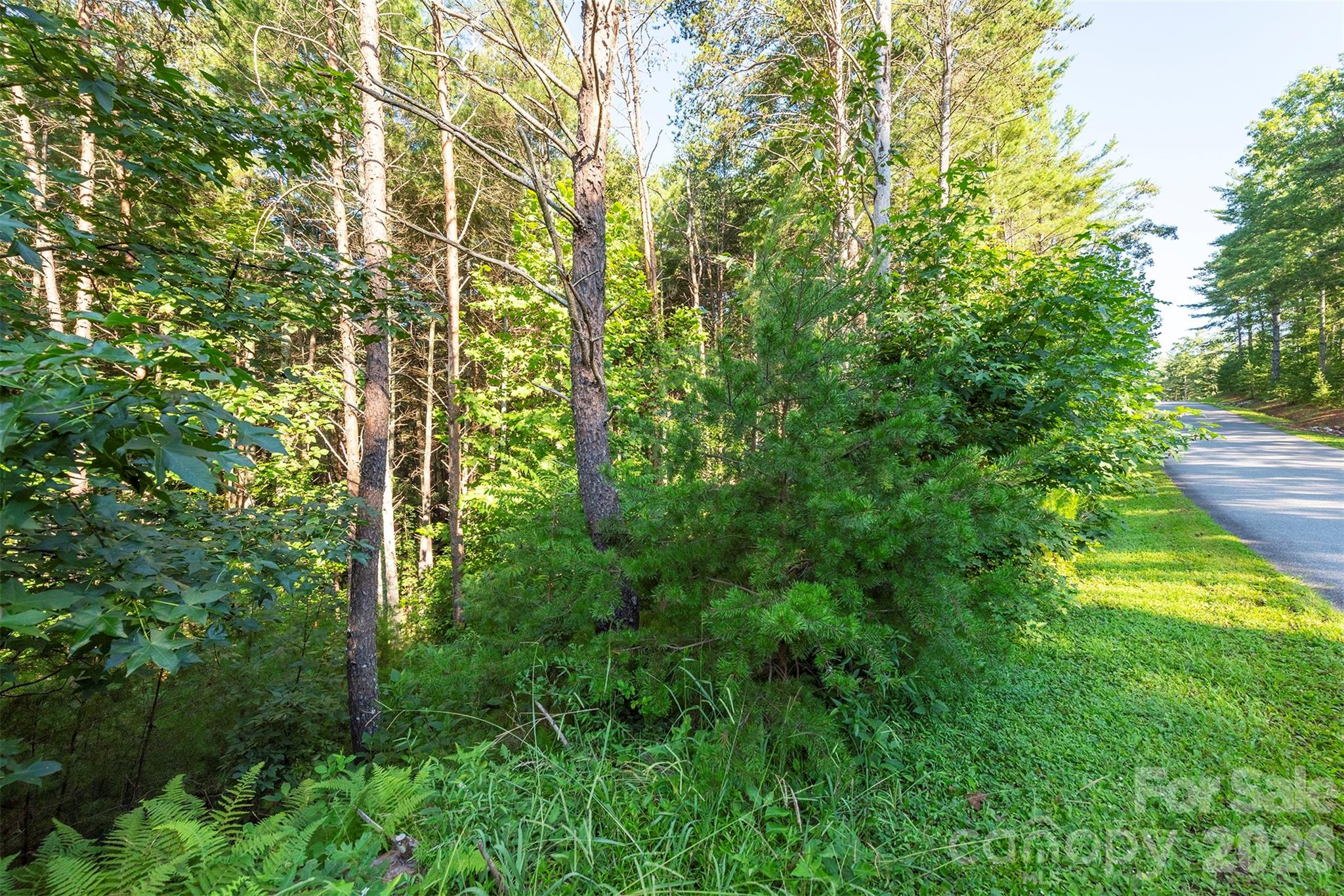 Lot #86 Crest View Drive Property Photo 13