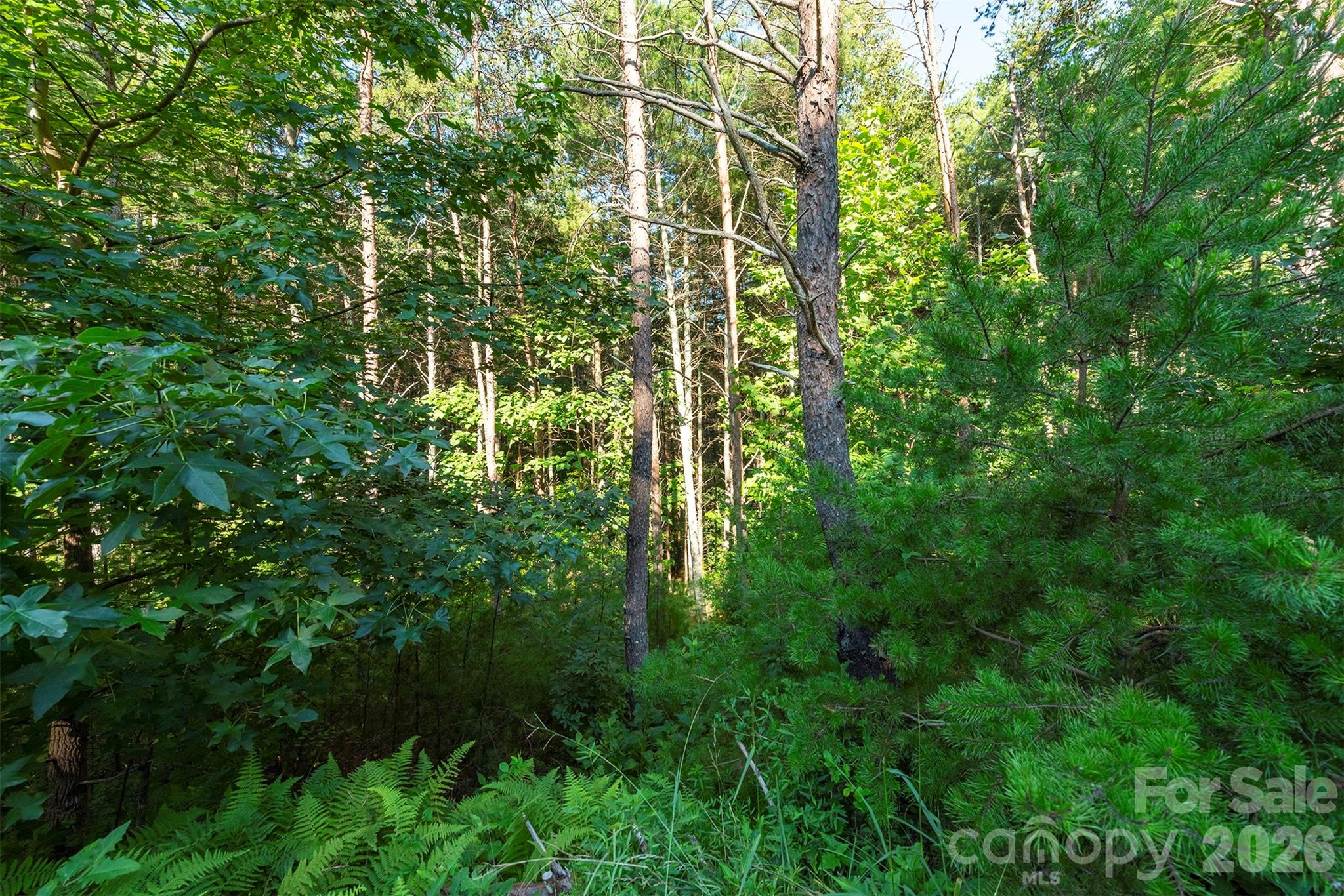 Lot #86 Crest View Drive Property Photo 14