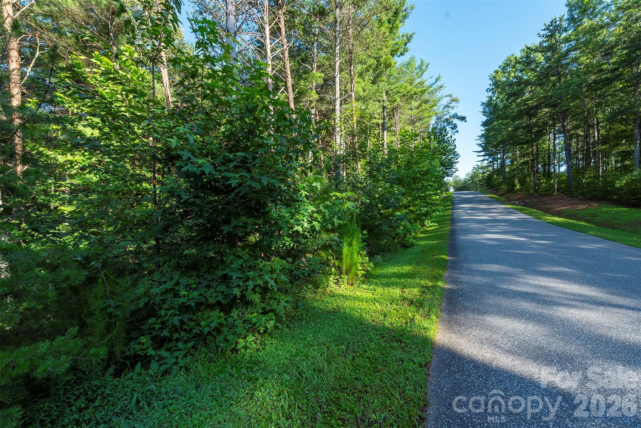 Lot #86 Crest View Drive Property Photo 15