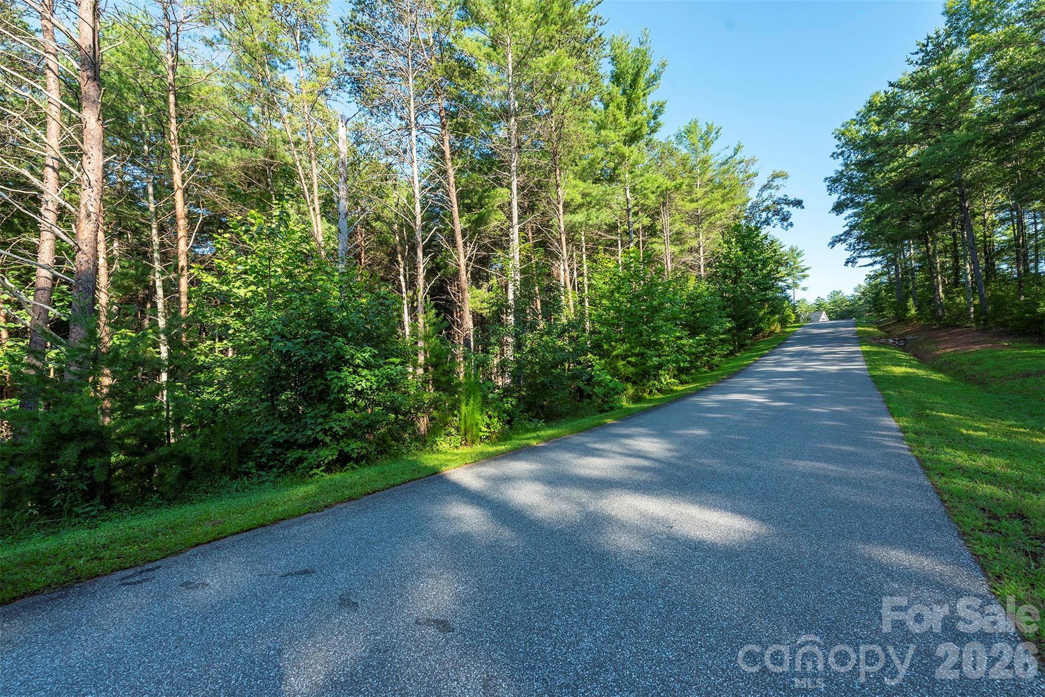 Lot #86 Crest View Drive Property Photo 16
