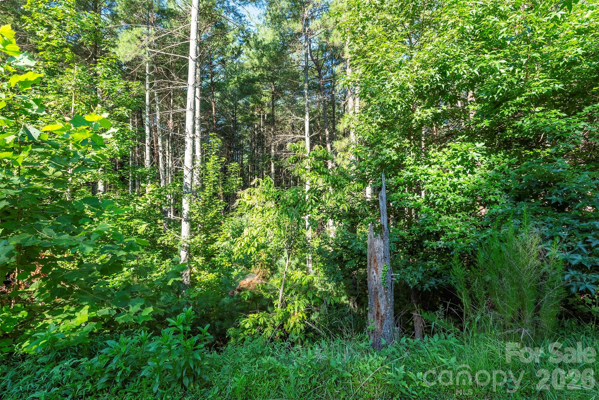 Lot #86 Crest View Drive Property Photo 17