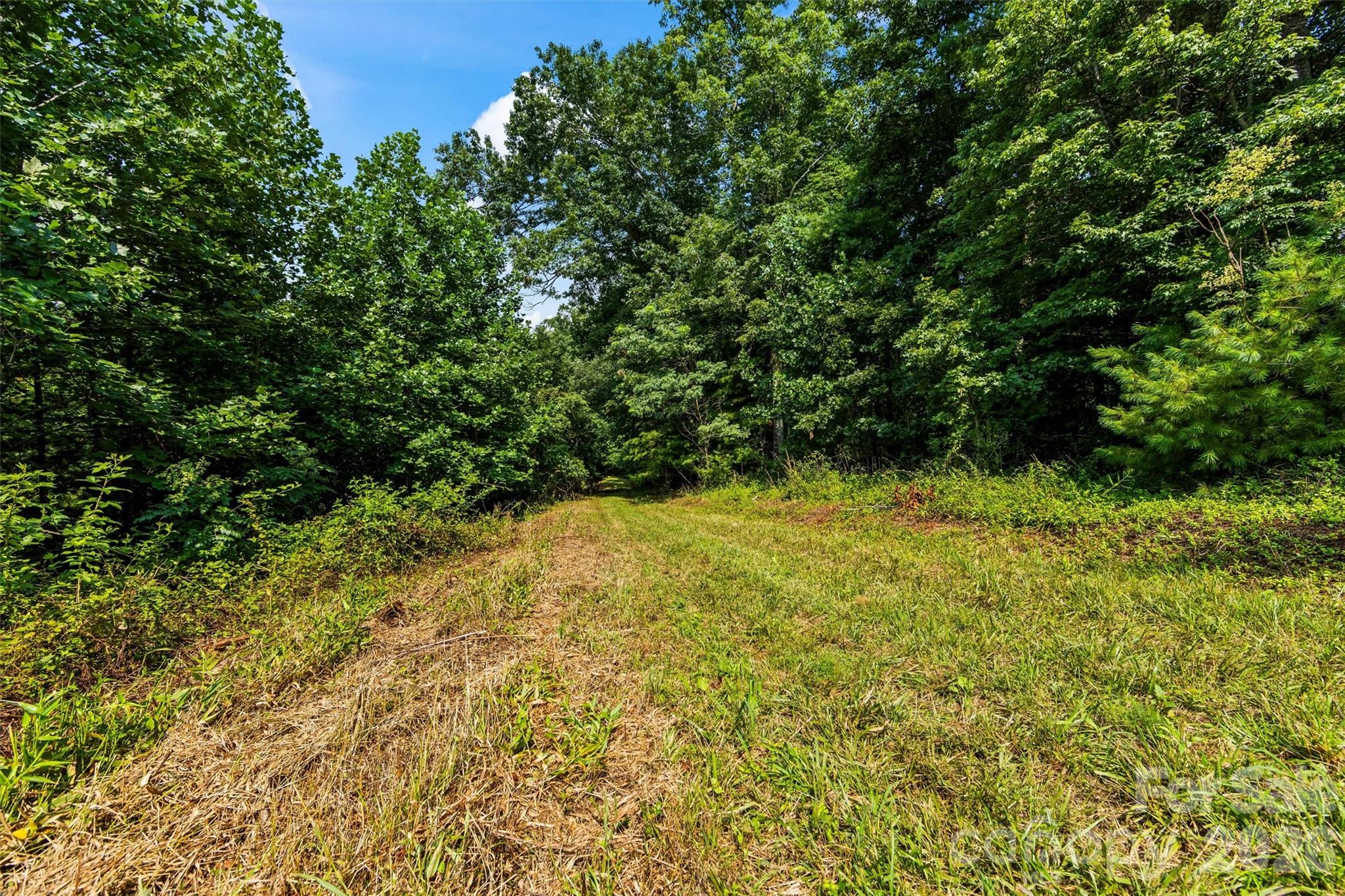99999 Big Sandy Mush Road Property Photo 2