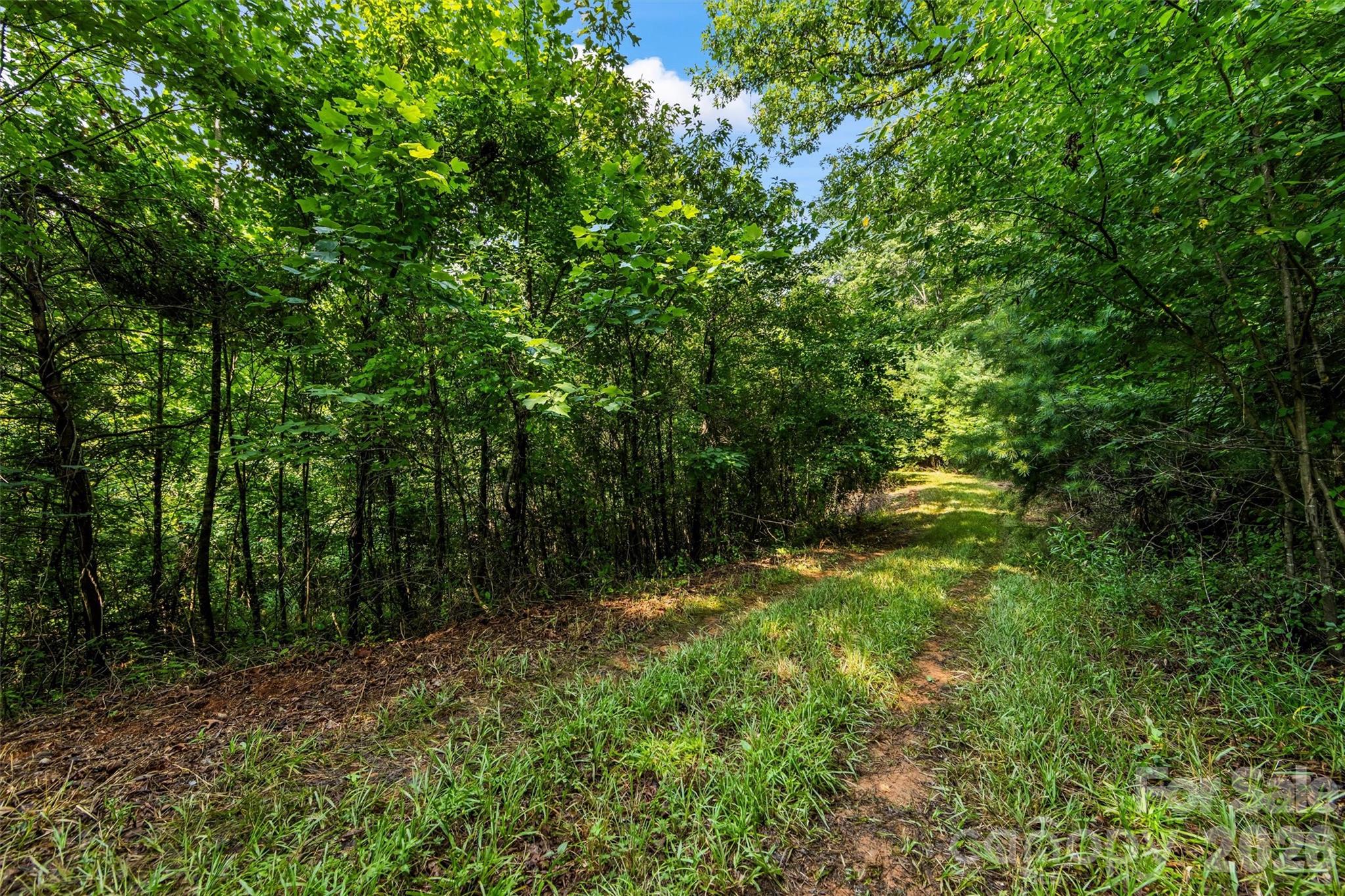 99999 Big Sandy Mush Road Property Photo 4