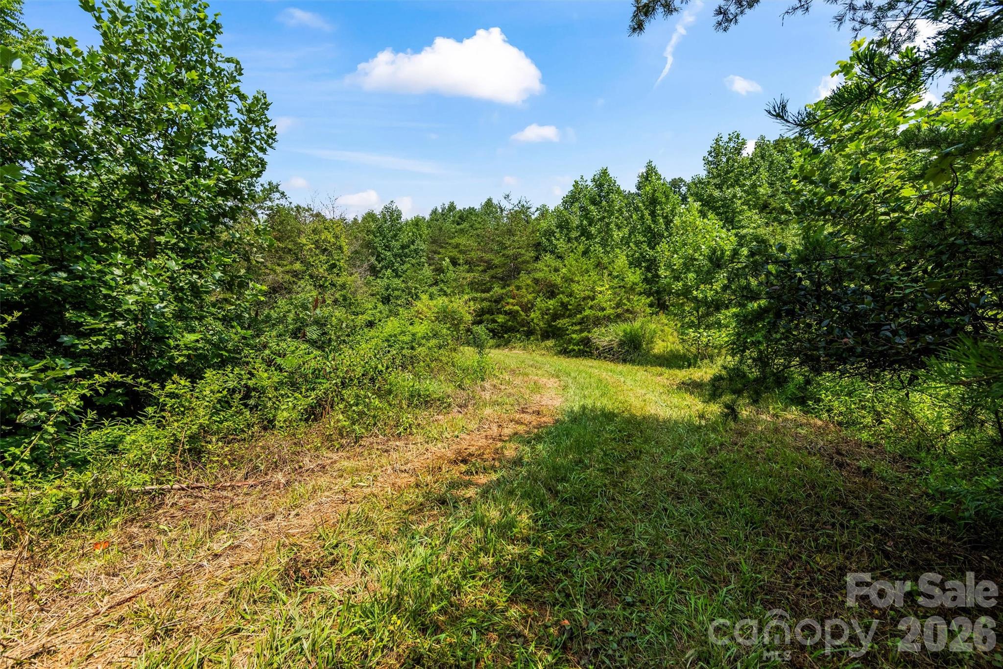 99999 Big Sandy Mush Road Property Photo 5