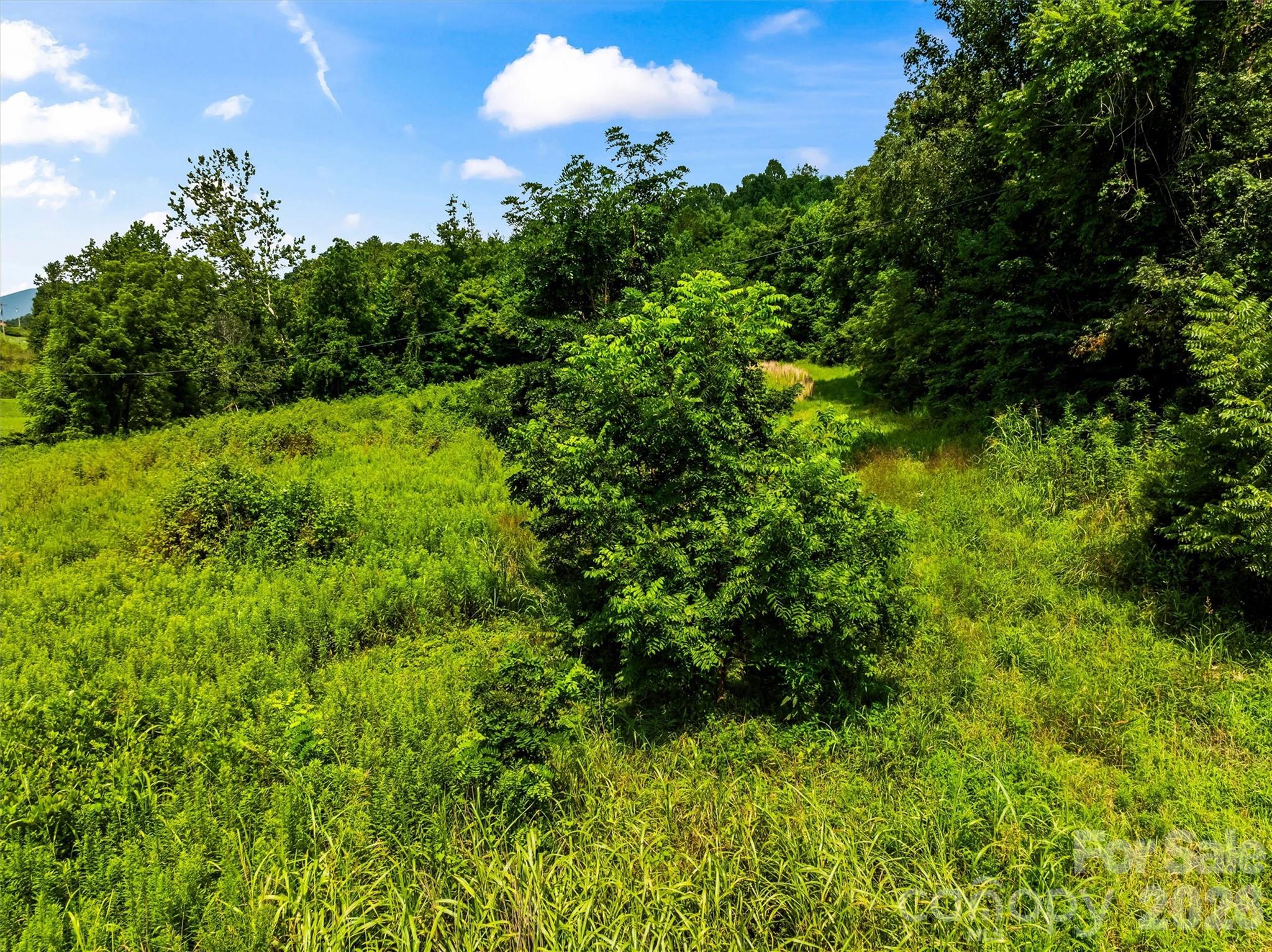99999 Big Sandy Mush Road Property Photo 6