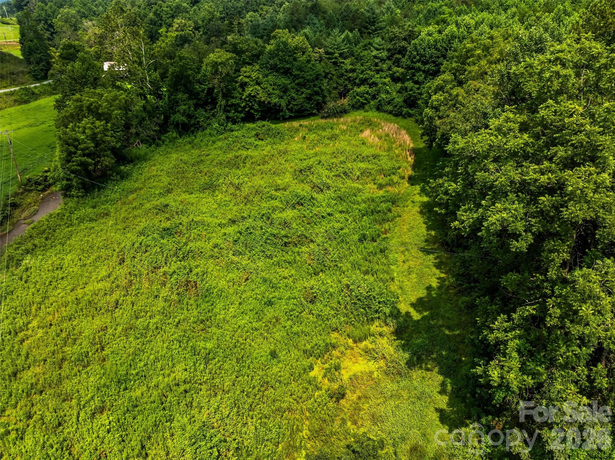 99999 Big Sandy Mush Road Property Photo 7