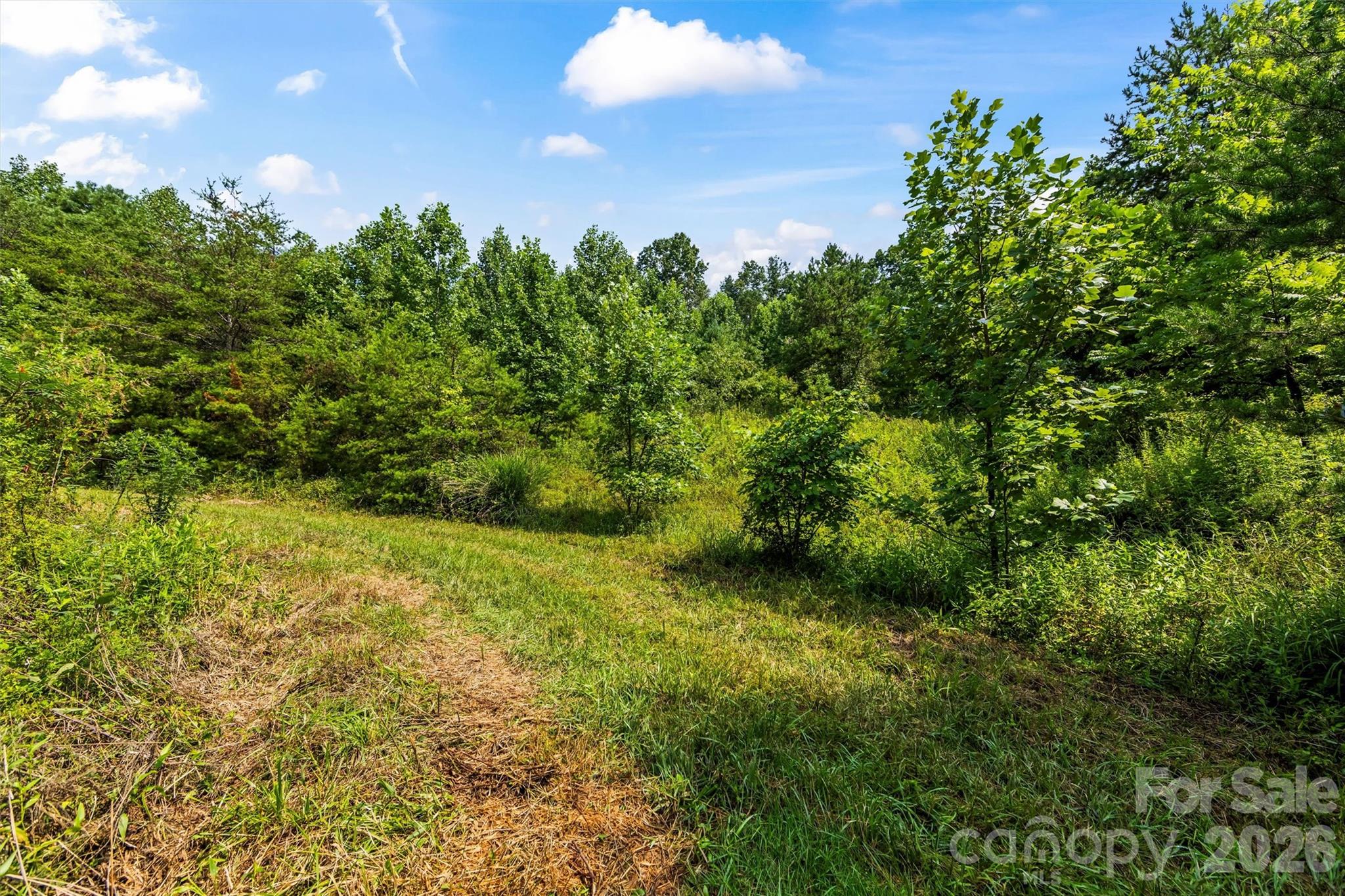 99999 Big Sandy Mush Road Property Photo 10