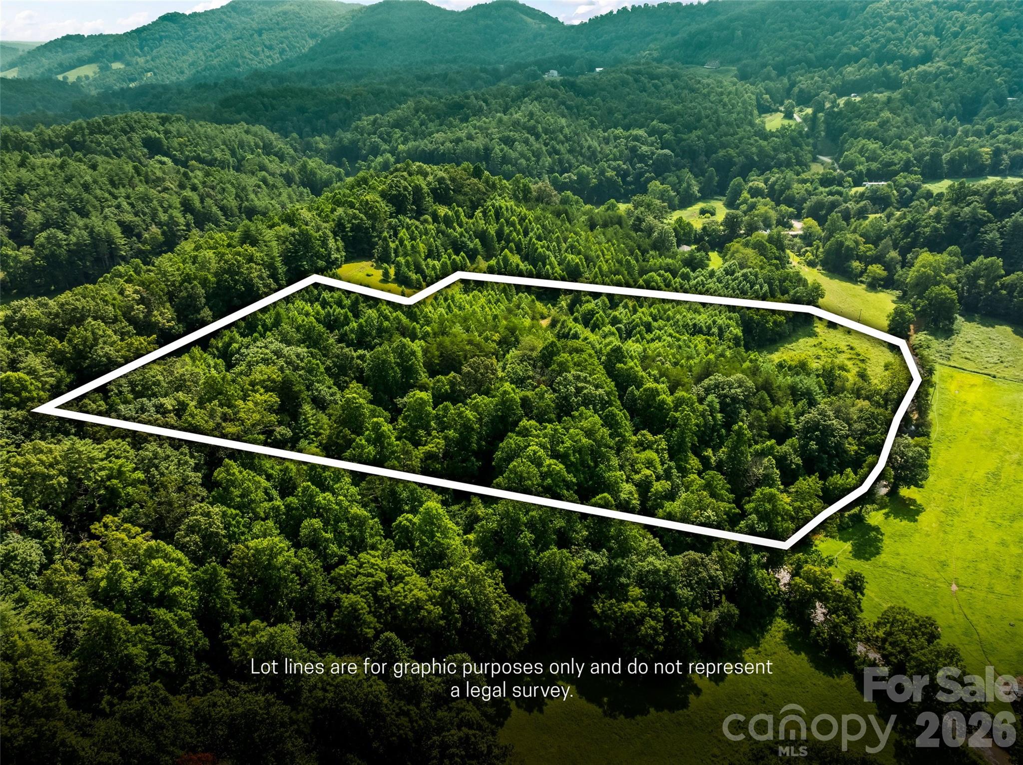 99999 Big Sandy Mush Road Property Photo 17