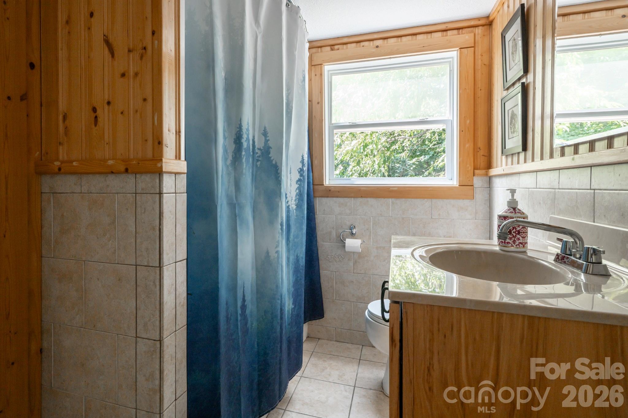 219 Echo Mountain View Road Property Photo 22