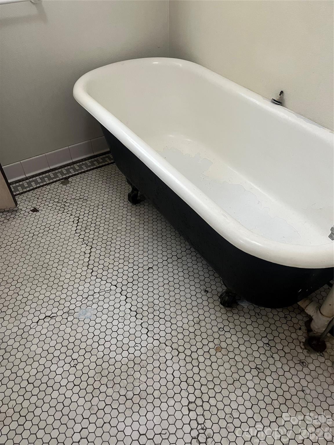 108 Harwood Street Property Photo 13
